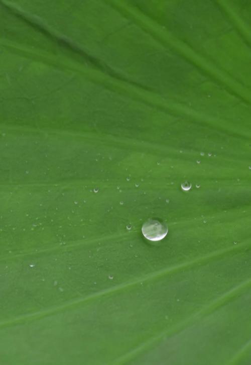 金融棉花糖时代，泡沫有多甜
亲爱的朋友们大家好，我是海林小百科，今天我们来看看。