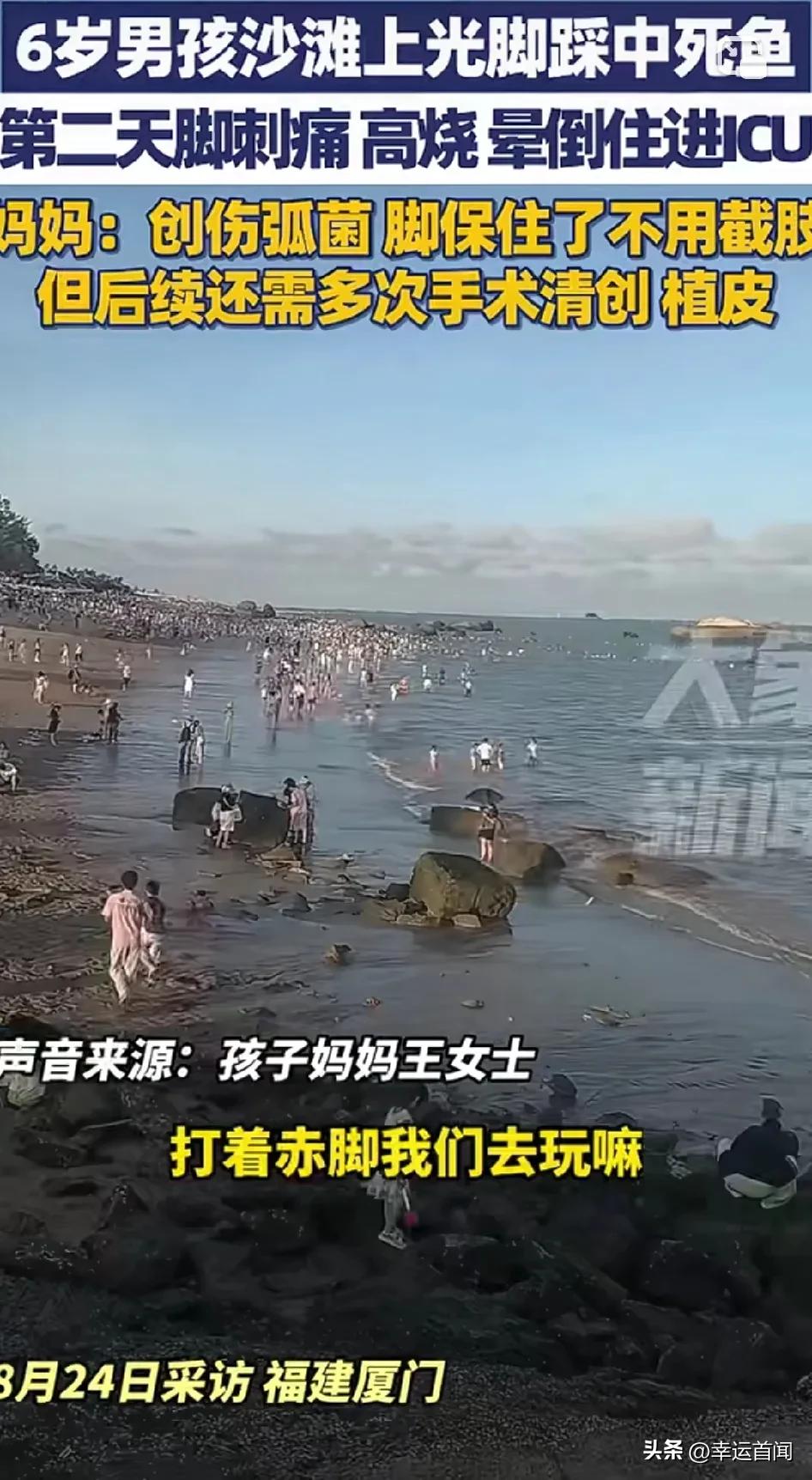 警惕，这个黄辣丁，就算活的被刺到也有真菌感染危险！
8月24日（采访地为福建厦门