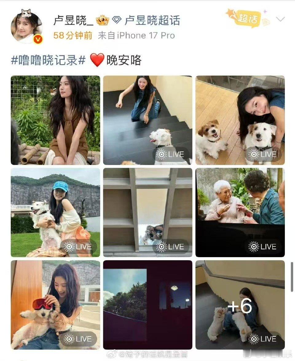 卢昱晓给阿嬷的情书被指盗摄疑似卢昱晓盗摄给阿嬷的情书卢昱晓给阿嬷的情书被指盗摄 