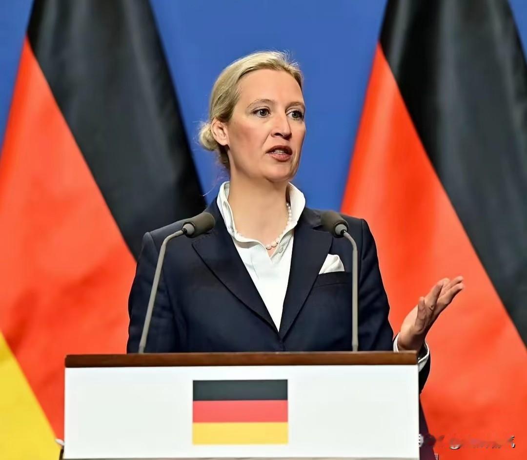 德国选择党联合主席魏德尔认为必须要尽快和亚洲同行一样尽快恢复采购价格比较低的俄罗