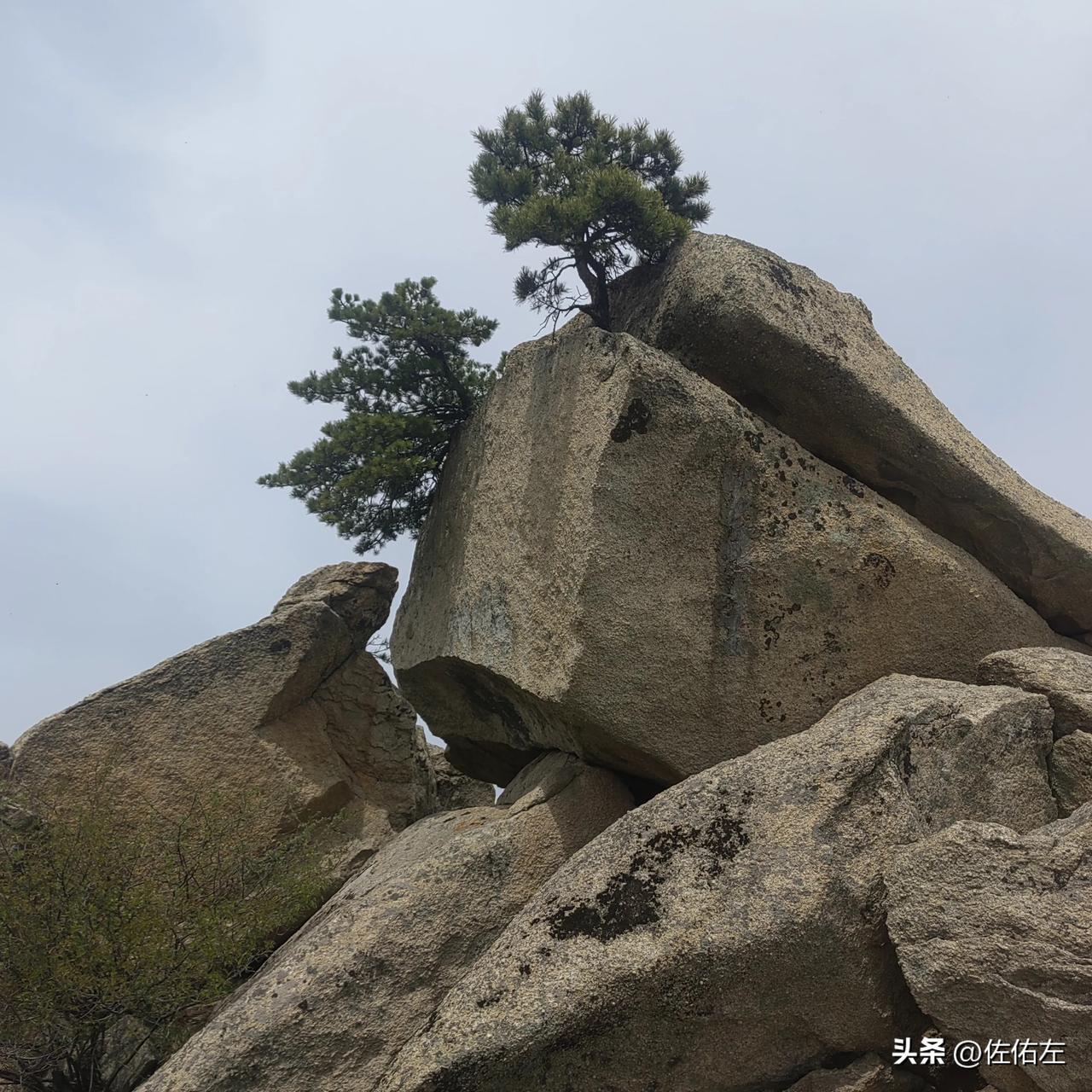 我家邻居家的那些事之终结篇--原生家庭的伤与悲。
楼上的叔叔阿姨尽管都已是耄耋之