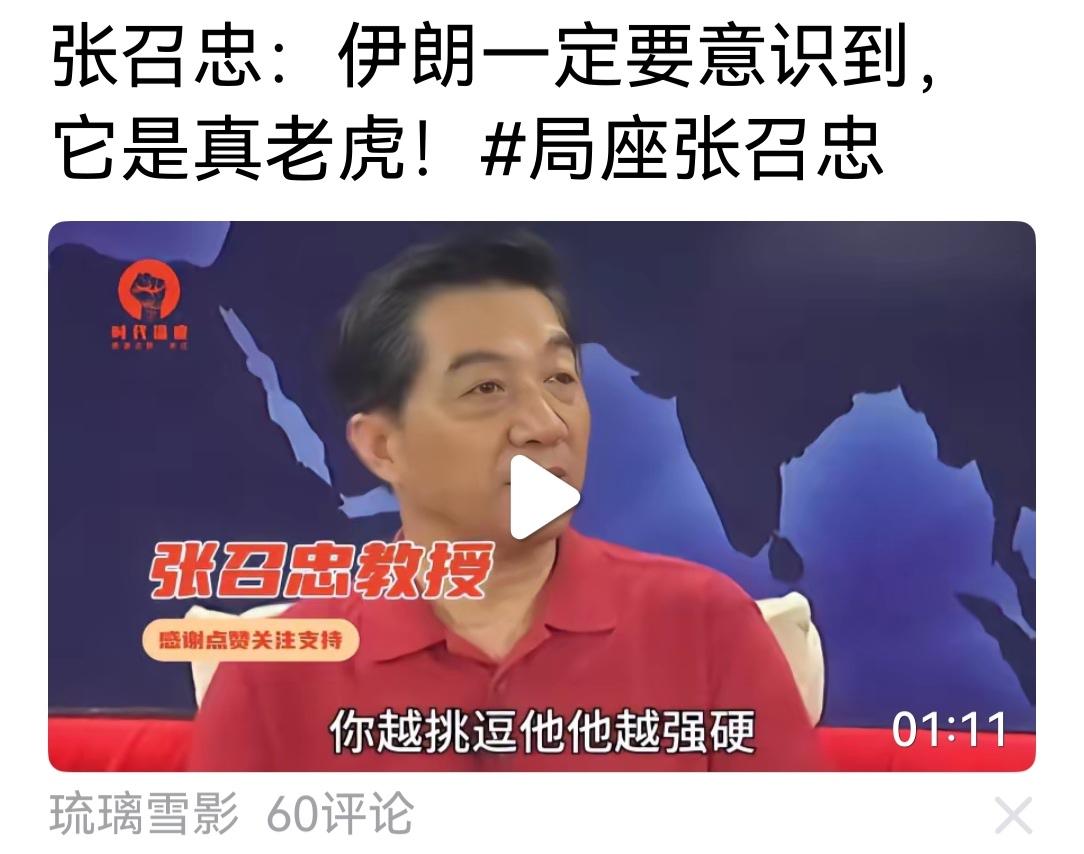 张召忠将军告诉伊朗人:你们“是真老虎”。其实未必。这三年，以色列打哈马斯，打真主