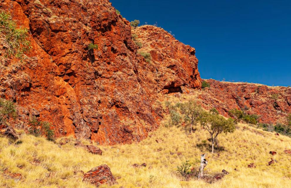 澳大利亚的铁矿，太得天独厚。
