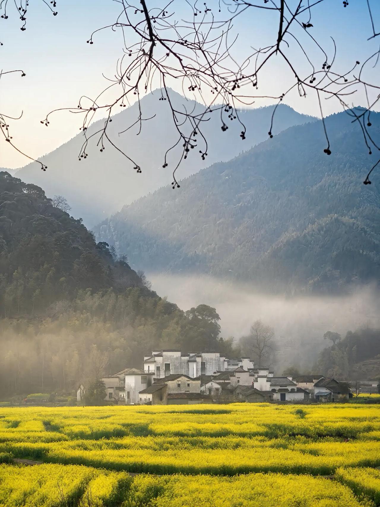 前几天遇到一位上海的学生家长，一开始他并不信任我们，觉得我们在网上吹嘘。我便说：