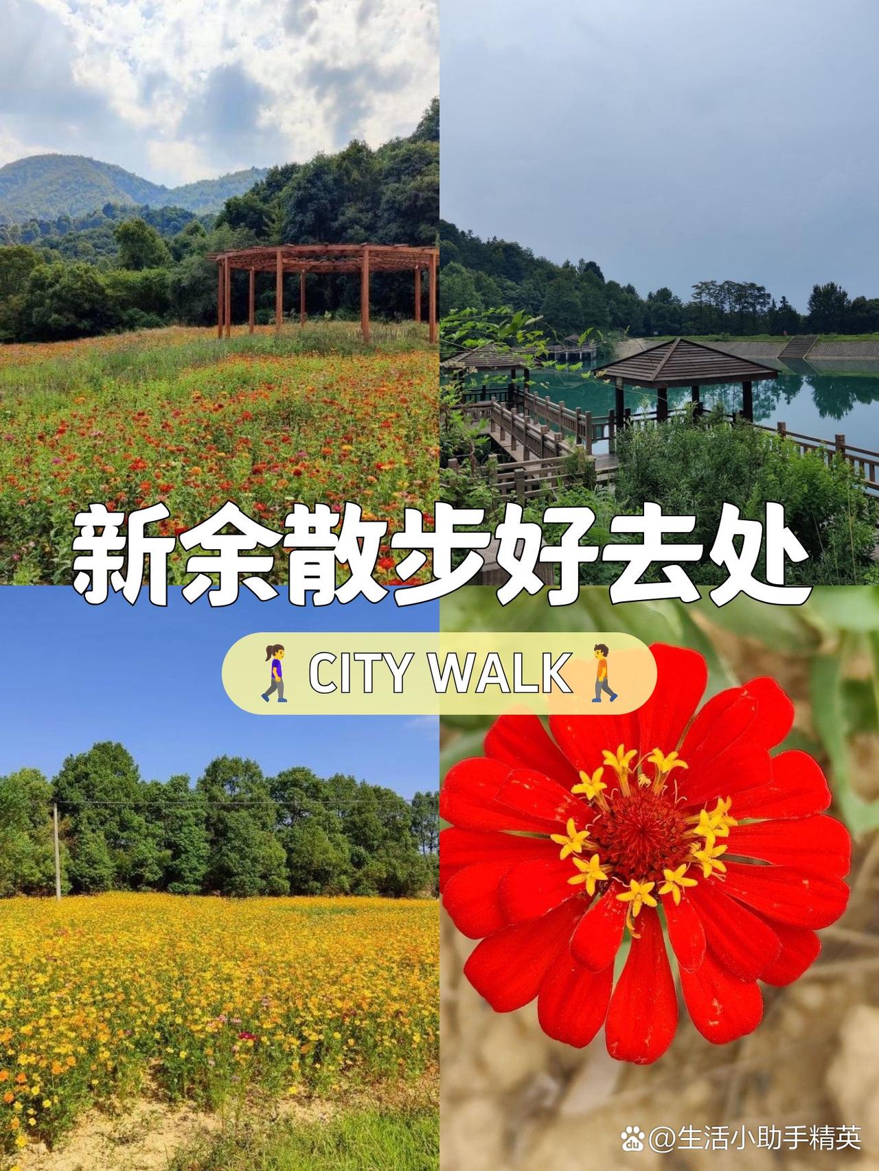 春日漫游指南｜百丈峰森林公园全攻略

春日的风里带着草木香，迫不及待想来感受自然