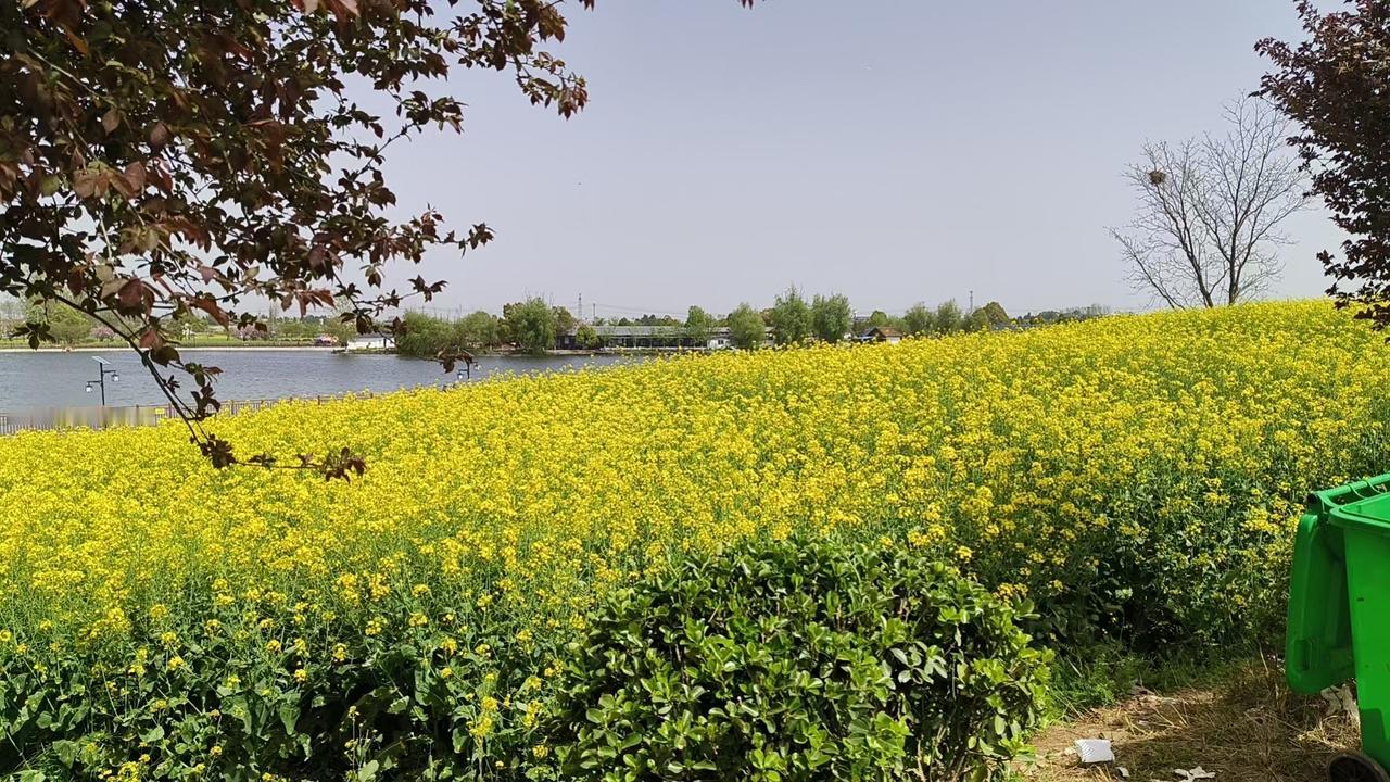 普通投资者必须注意

 1. 分散投资：构建10-15个非相关资产组合，可降低8