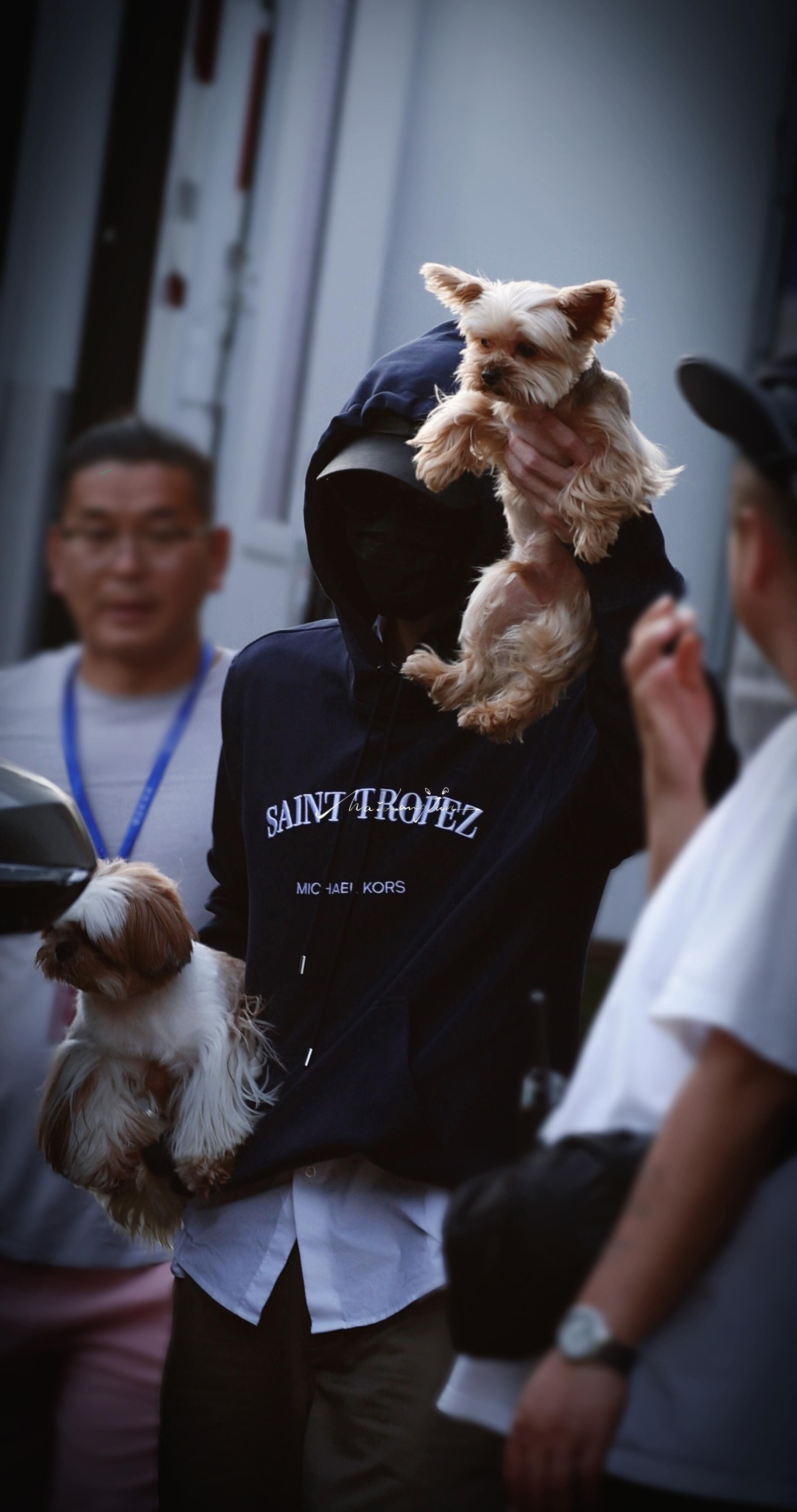 檀健次 檀健次可爱的一家三口檀健次  专栏 · 素材库  专栏 · 檀健次日常