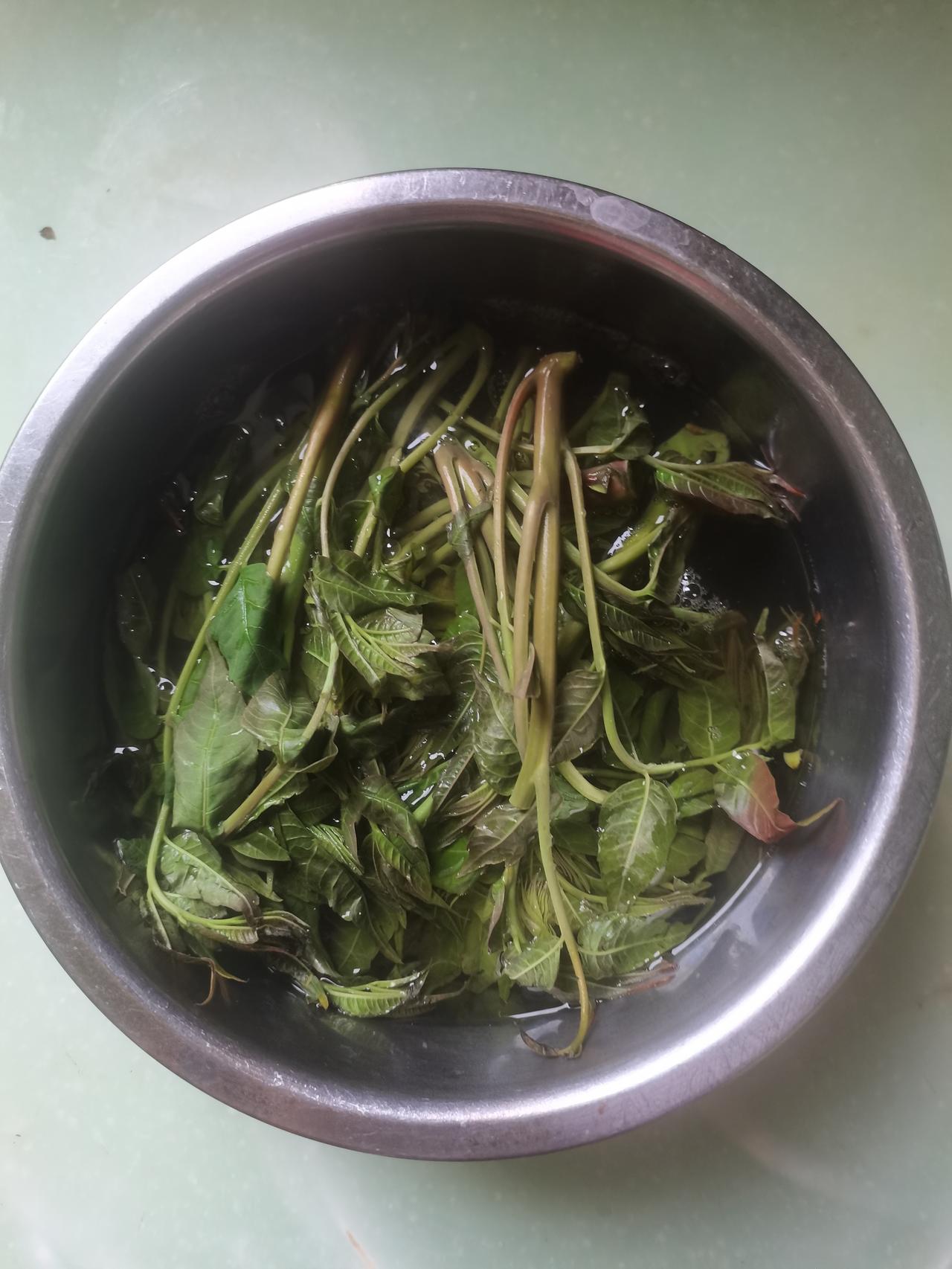 做完手术回家第六天，我让老伴买了把香椿，打算做两盘菜，一盘凉拌，一盘香椿炒鸡蛋。