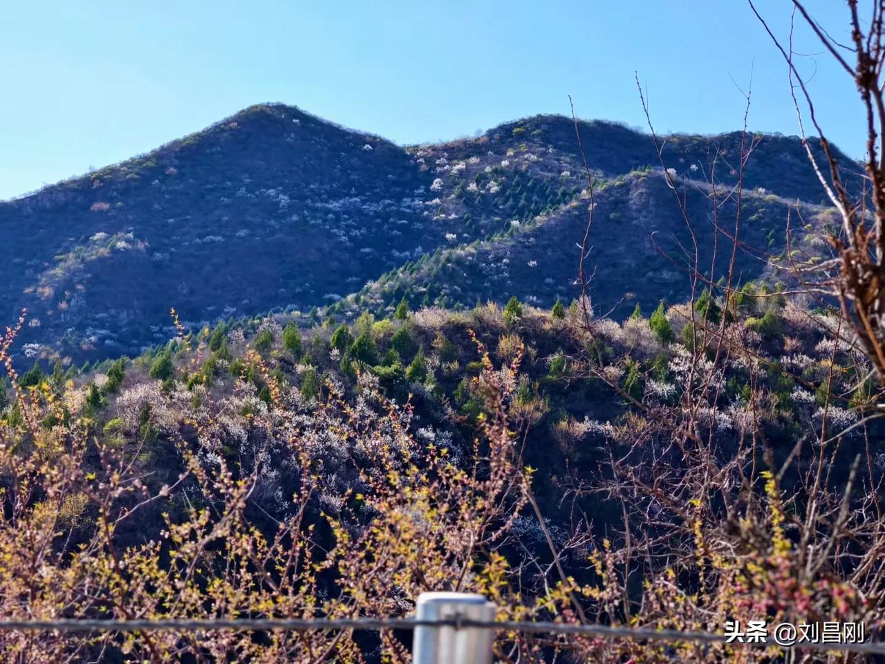 湘西热土育英魂，大漠长歌写赤诚——今日湘西重逢，再读当年诗文有感
（2025年4