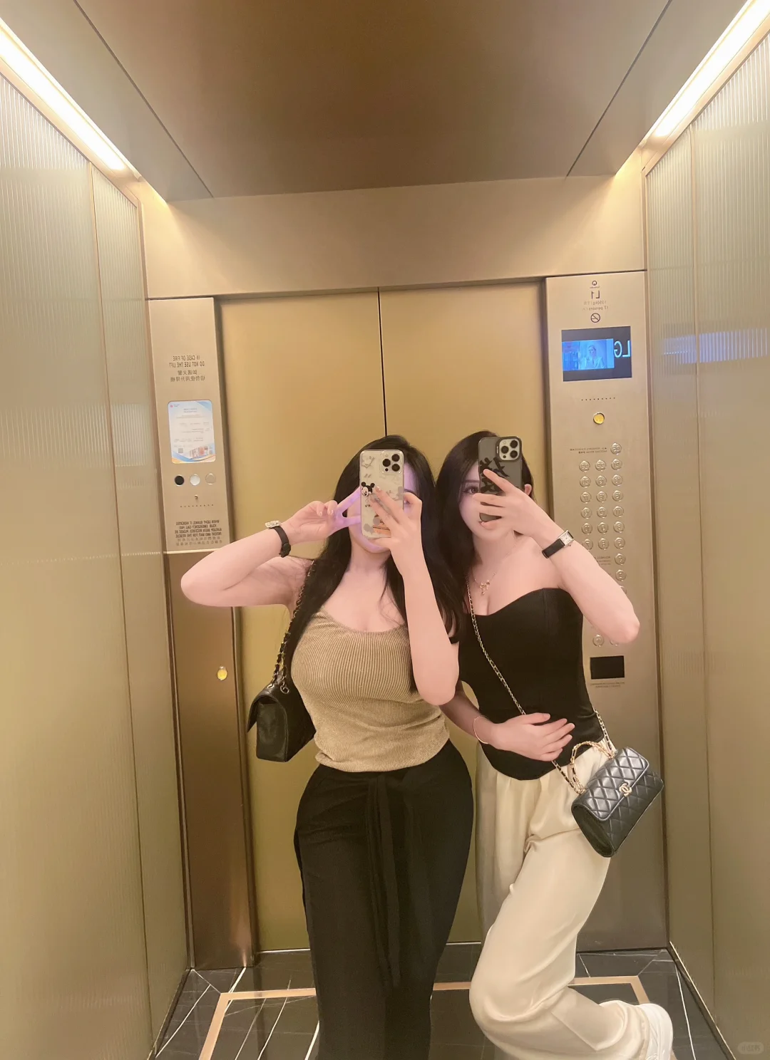 ⋆ ☆₊⋆ 🐰🪺🧁⋆*☆           ꙳🦋