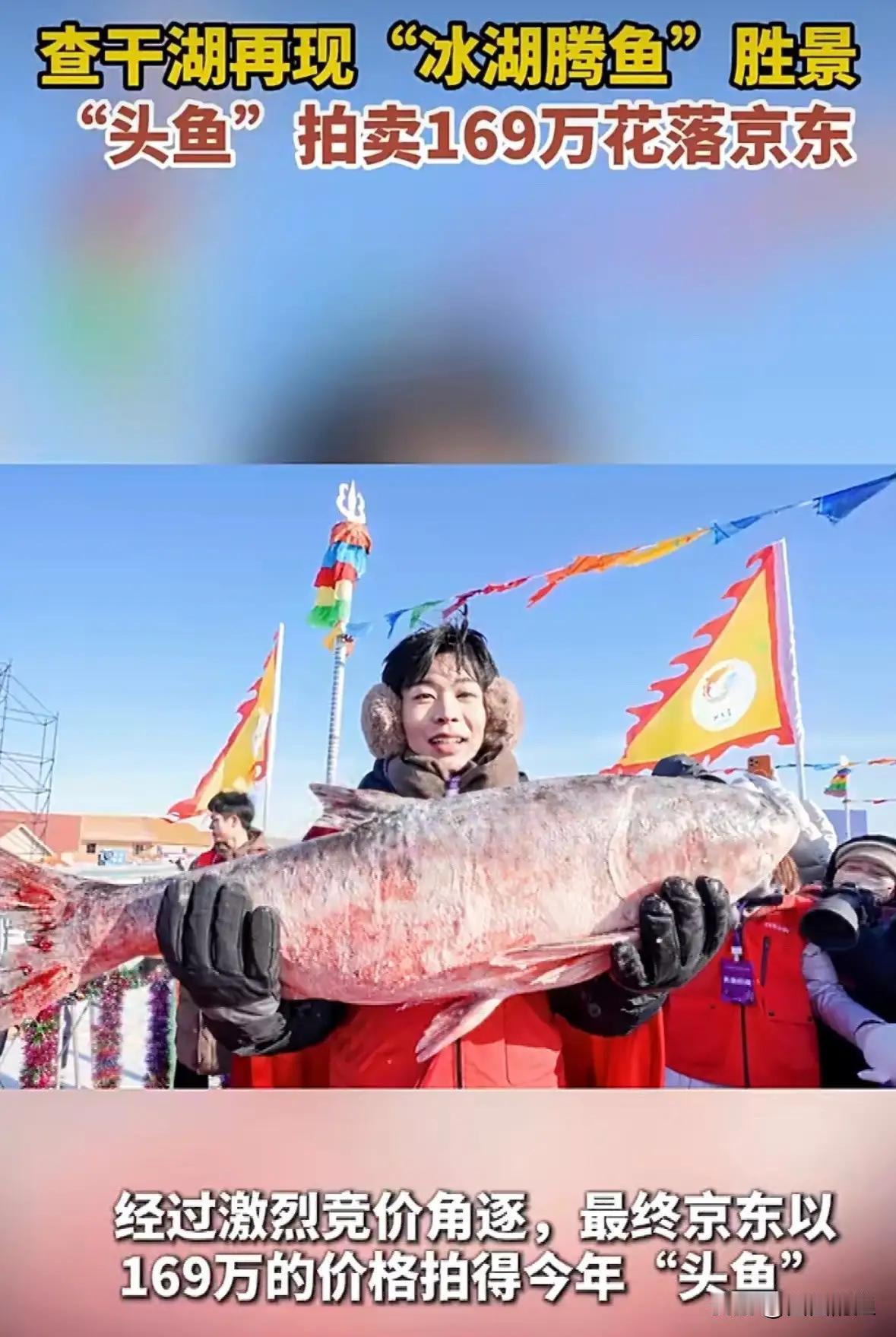 震撼！查干湖冬捕“头鱼”拍出169万天价，背后隐藏的财富密码与文化传承！

（素