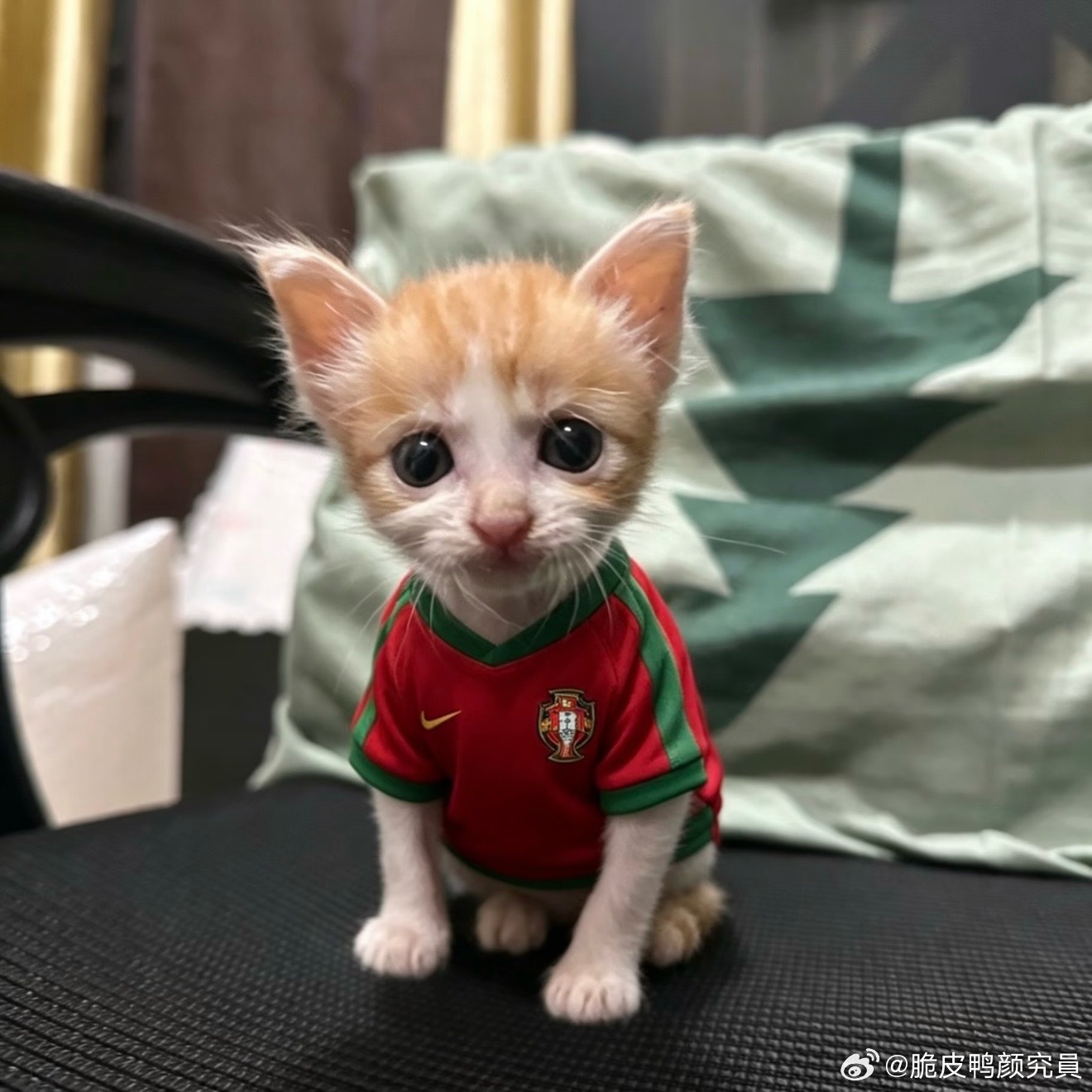分享图片 