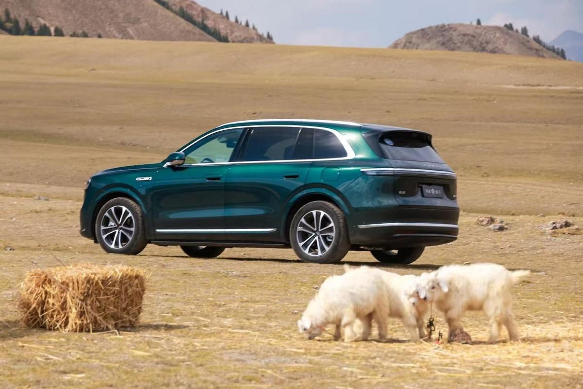 春游正当时，问界M7带你畅享出行新体验，购车权益别错过！
春风和煦，正是出游好时