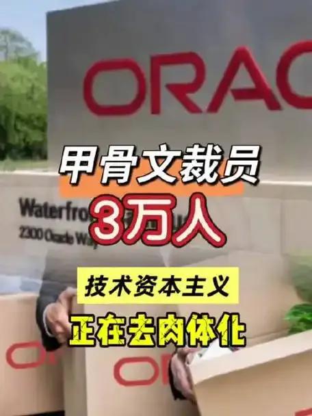 甲骨文2026财年第二季度净利润同比大涨95%，创下15年来最高记录，却启动大规