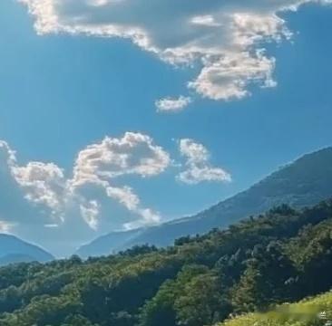 每日一善 以善待人，温柔度日。不斤斤计较得失，不冷眼旁观苦难，懂得换位思考，愿意