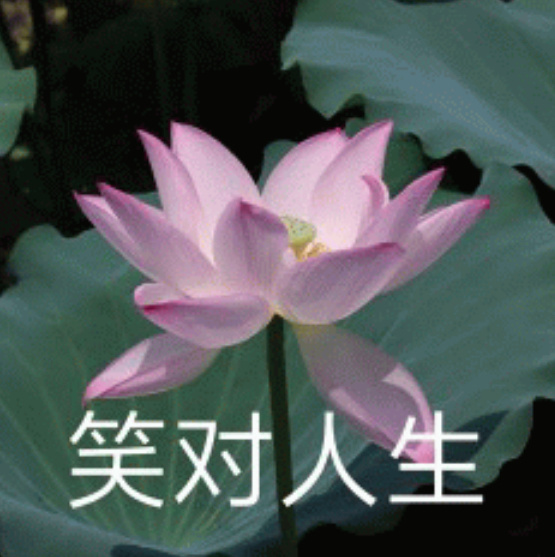 这届年轻人专治没苦硬吃这届年轻人把享受生活玩明白了 当代年轻人真的把反内卷玩明白