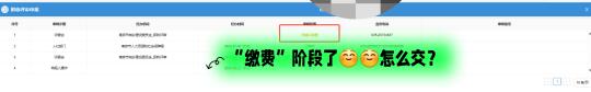 缴费阶段了，怎么交？
