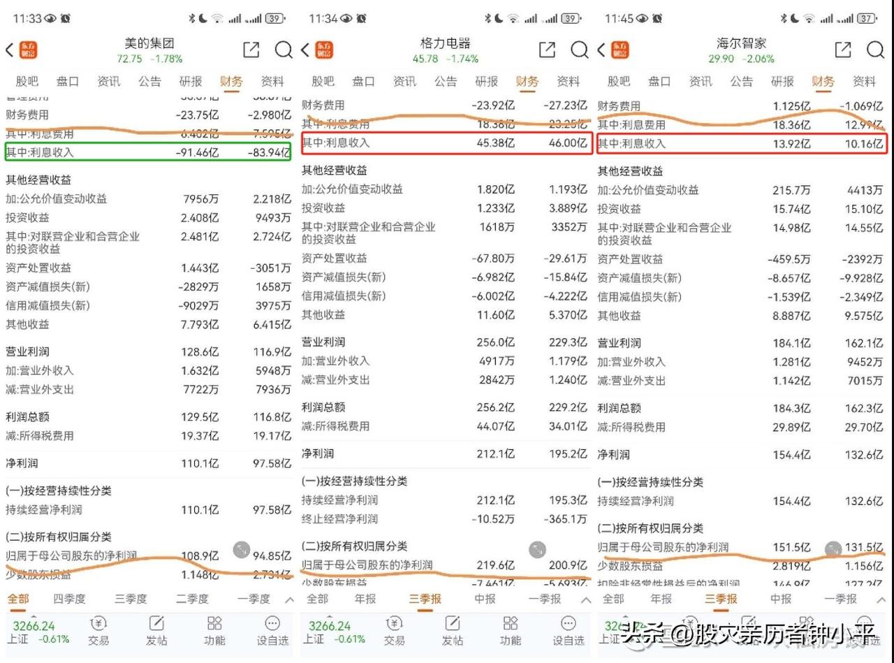 我看不懂，为什么这个漂亮的美的，这项却是负数？哪位财务知识达人能科普一下，谢谢！