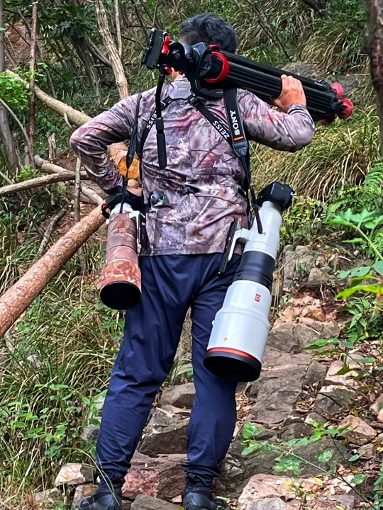 留下你最难忘的观鸟奇遇🪽