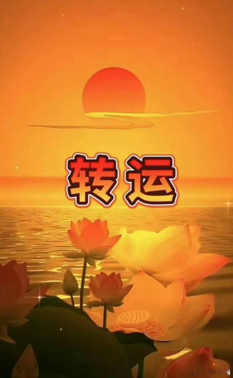 你相信不，你能进来，这是被宇宙传讯了，说明你要转运了。点赞，留下：时来运转。你就