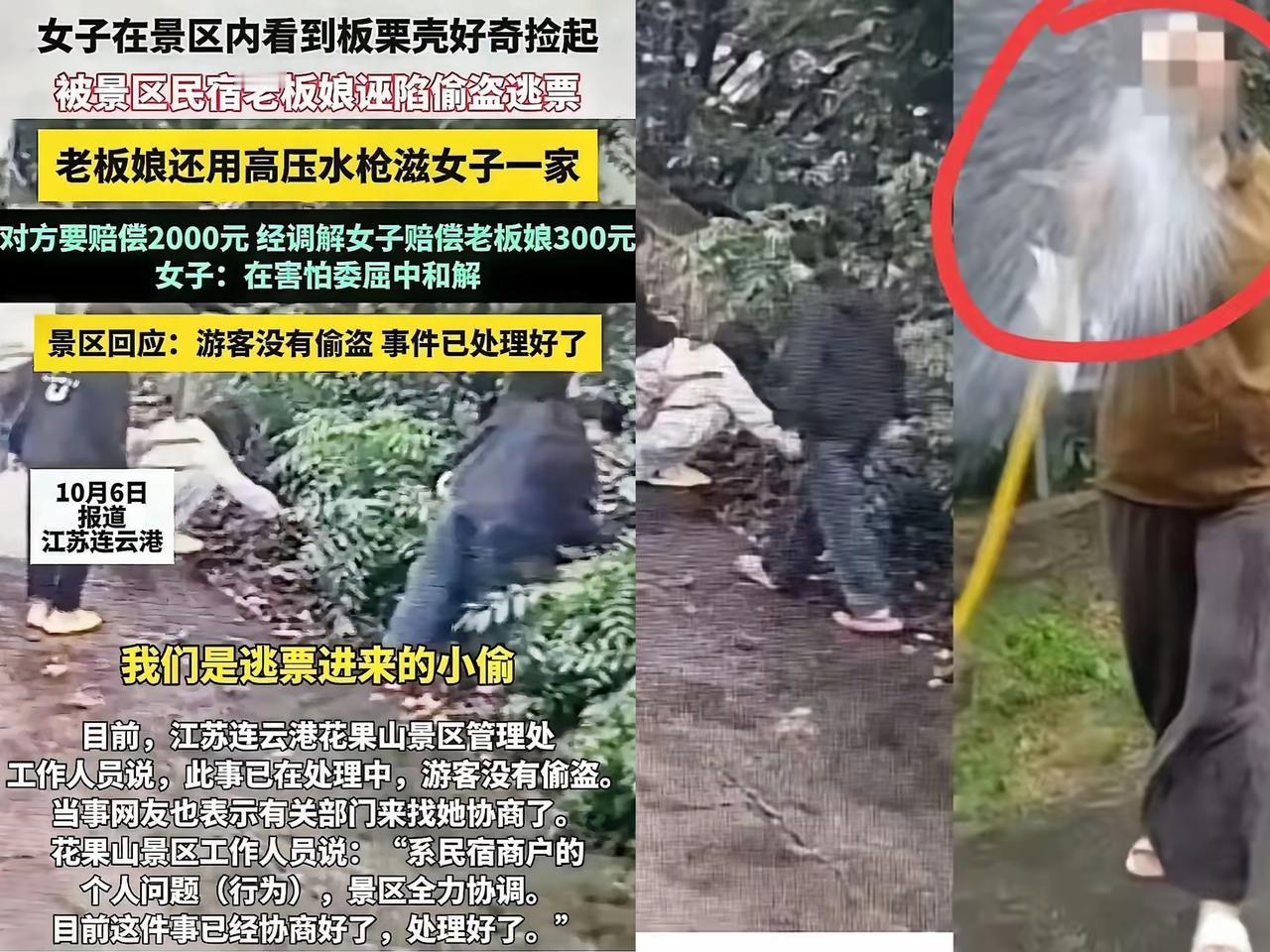 警方说“游客没有偷窃”，景区也说“板栗树是景区的，不是农家乐的”。那么赔偿300