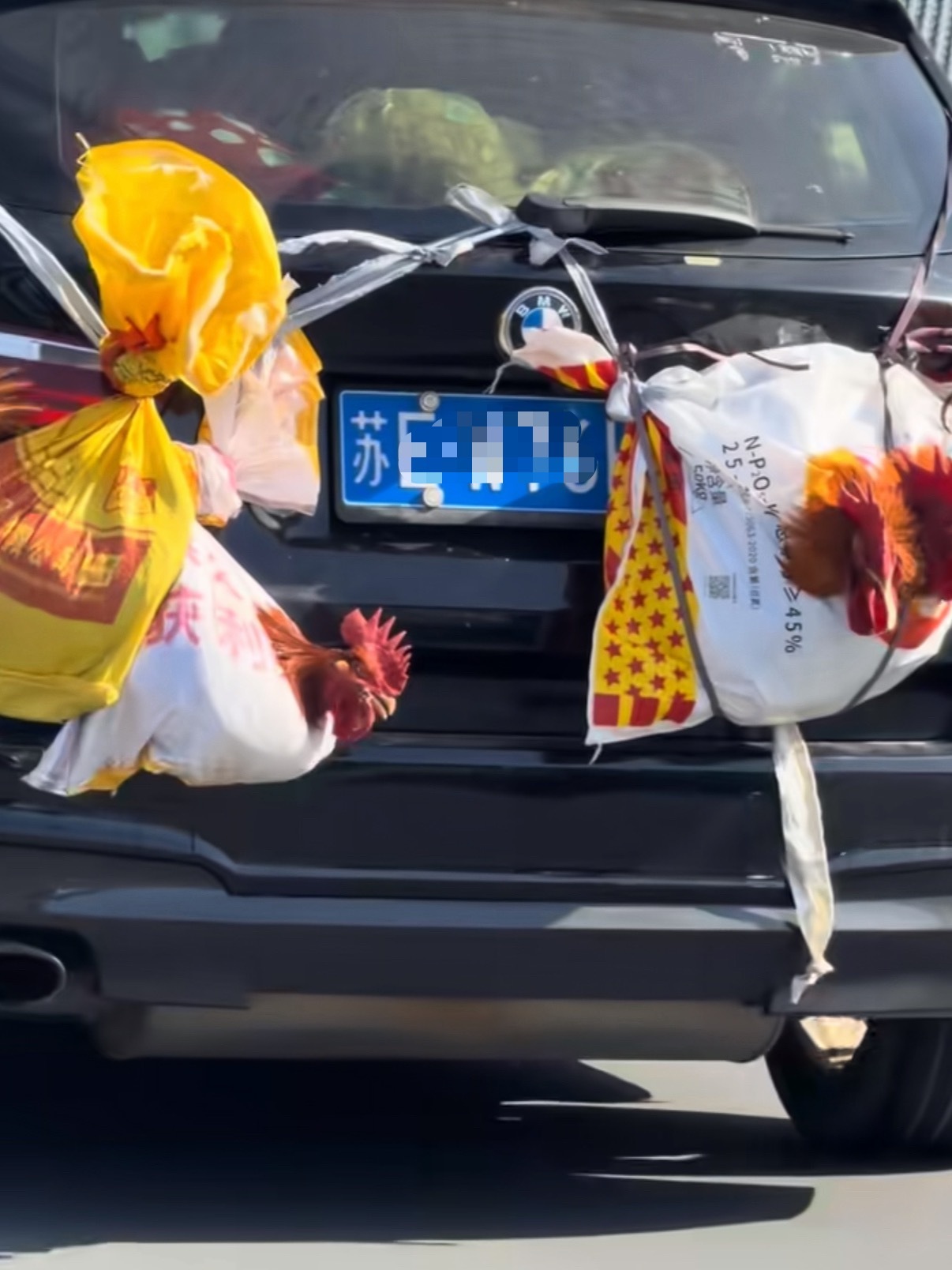 这不仅仅是鸡鸭，更是父母沉甸甸的爱！这位粤C车主你的鸭子掉了