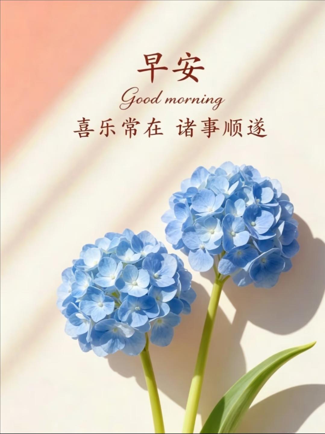 ²º²⁶/₀₅.₂₀🔆Ş๓il𝐞  '͜ '   阳光不燥，微风正好，初夏的