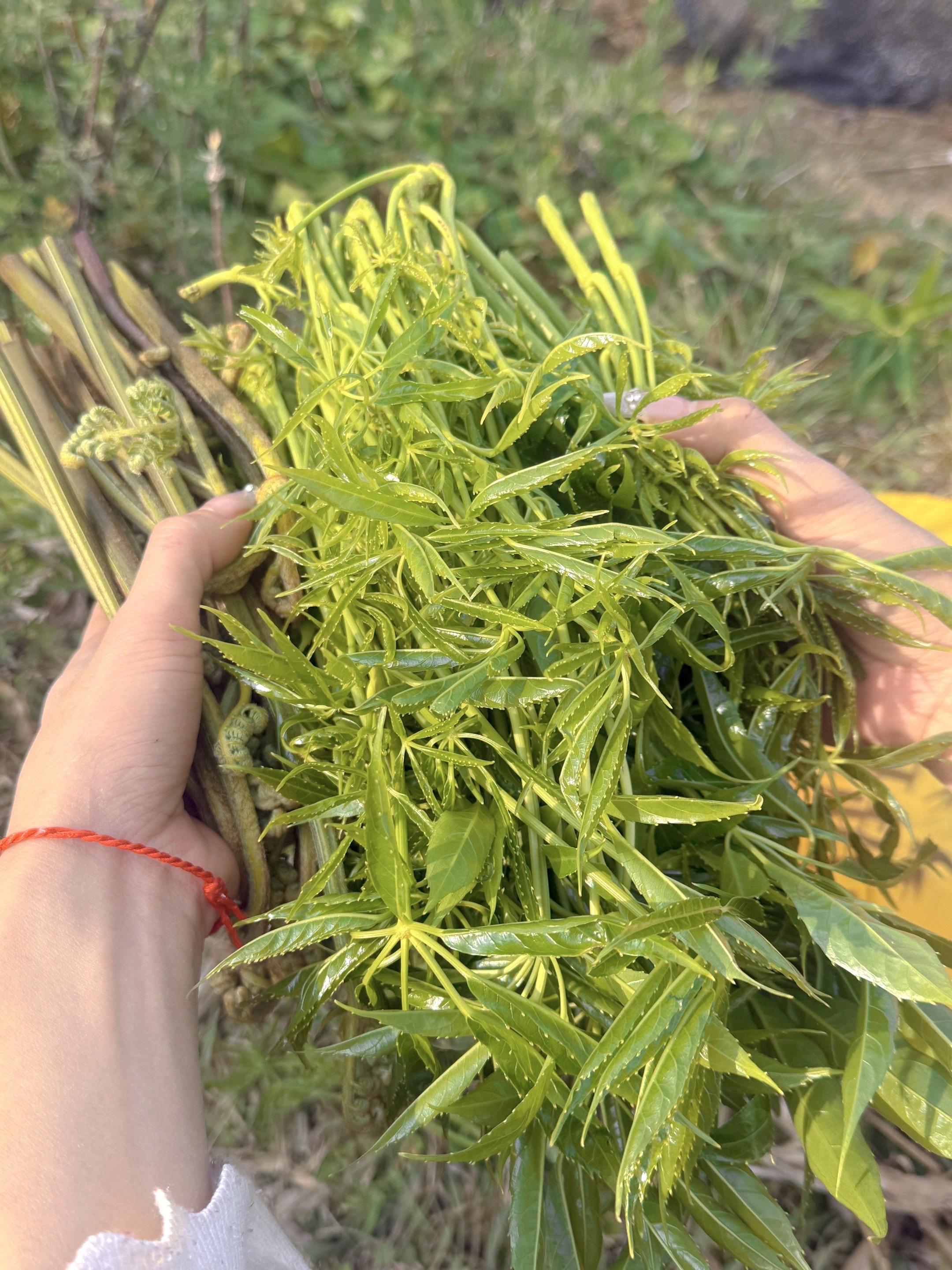 一遍遍回忆一遍遍回味！