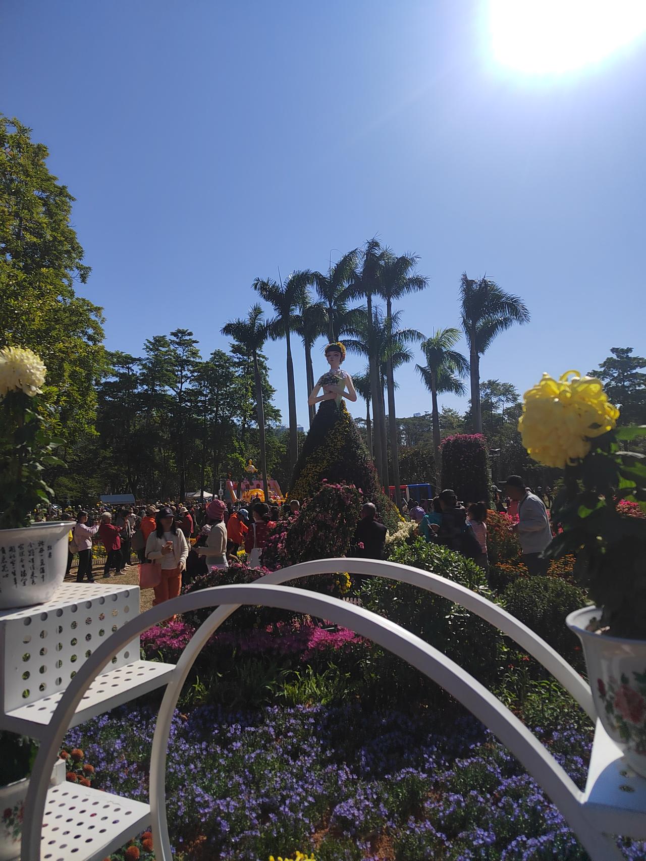 晒图笔记大赛在深圳新开的公园太多了，像东湖公园这种古老的公园真的没有几个了，我们