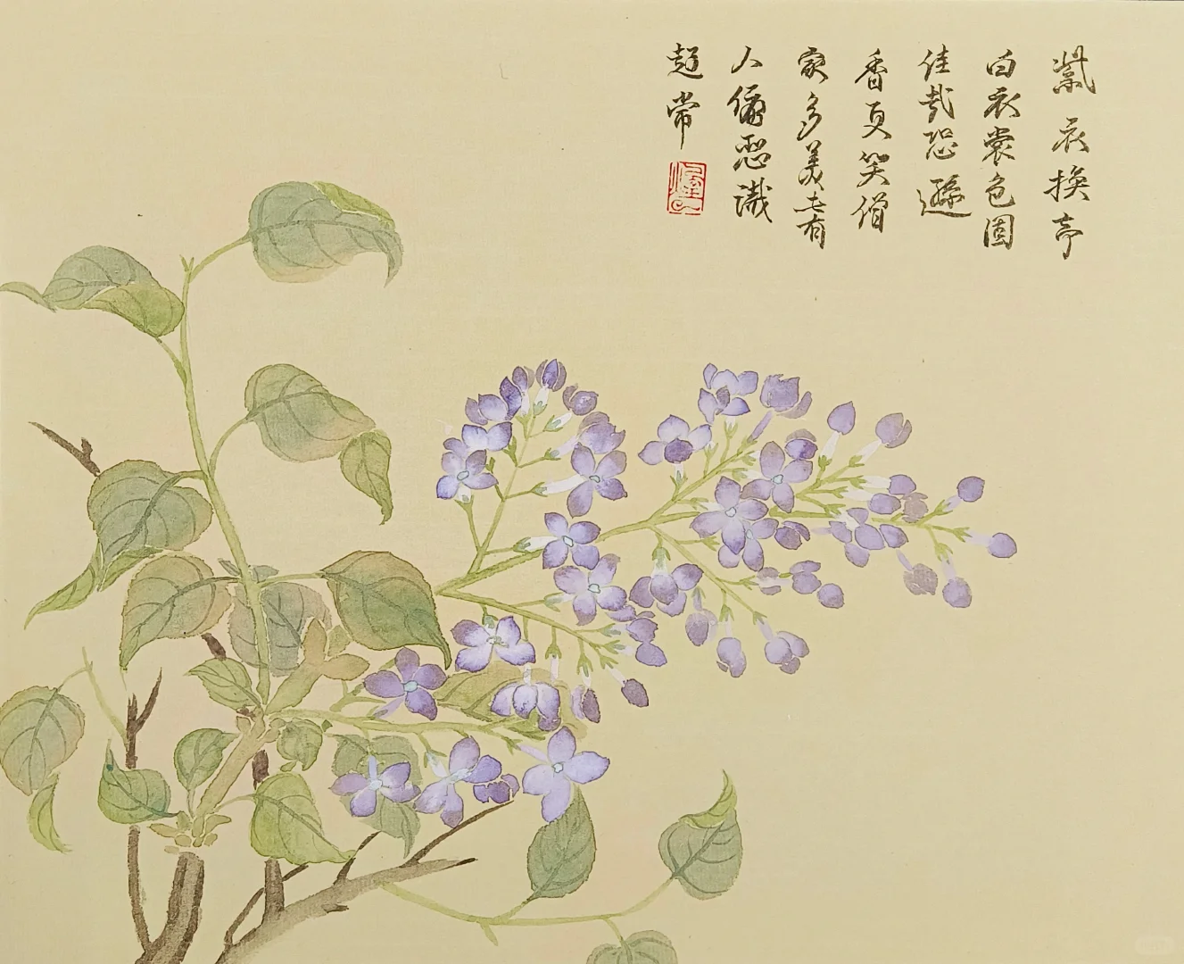 国画‖没骨花卉册页1