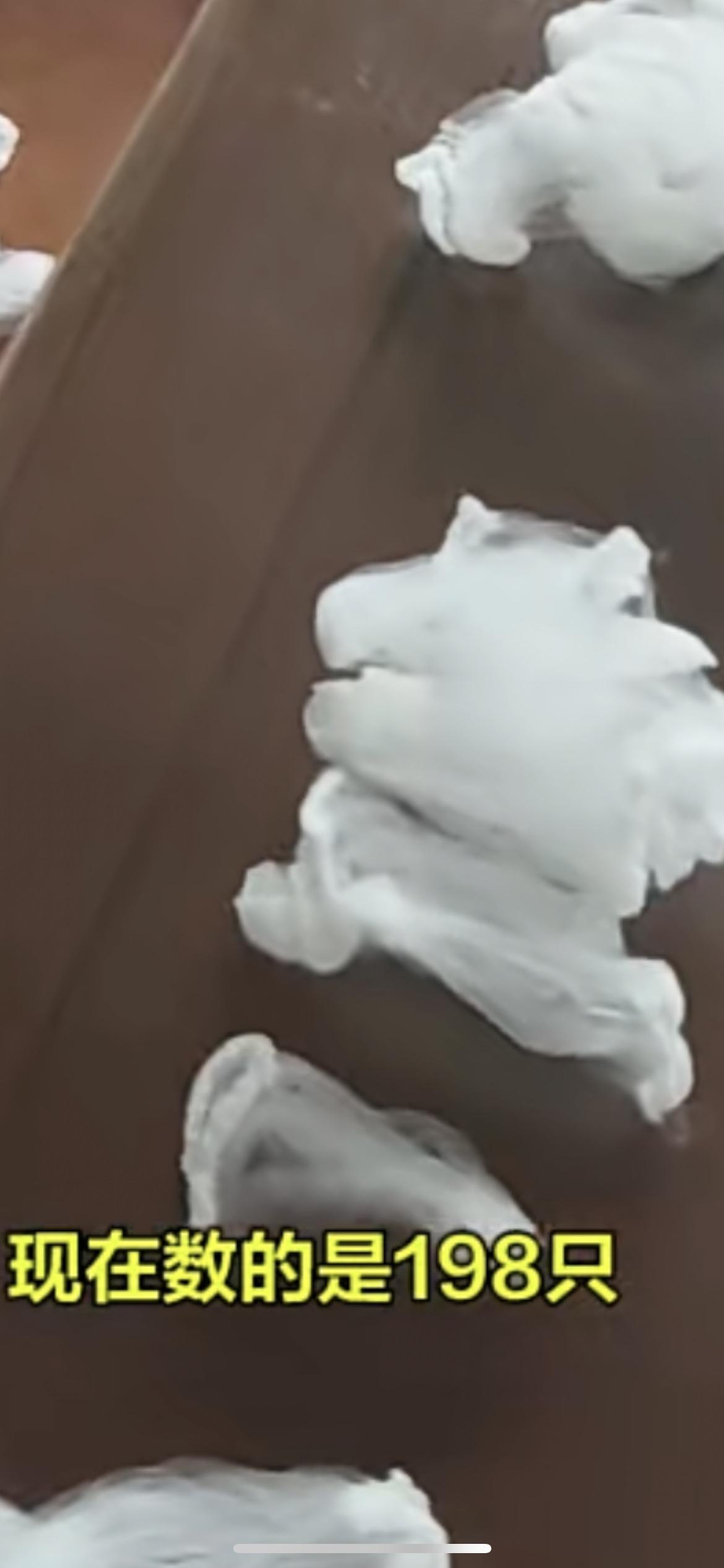 1月20日河北石家庄，女子分享网购经历：8.9元网购200只水槽过滤网，到货一数