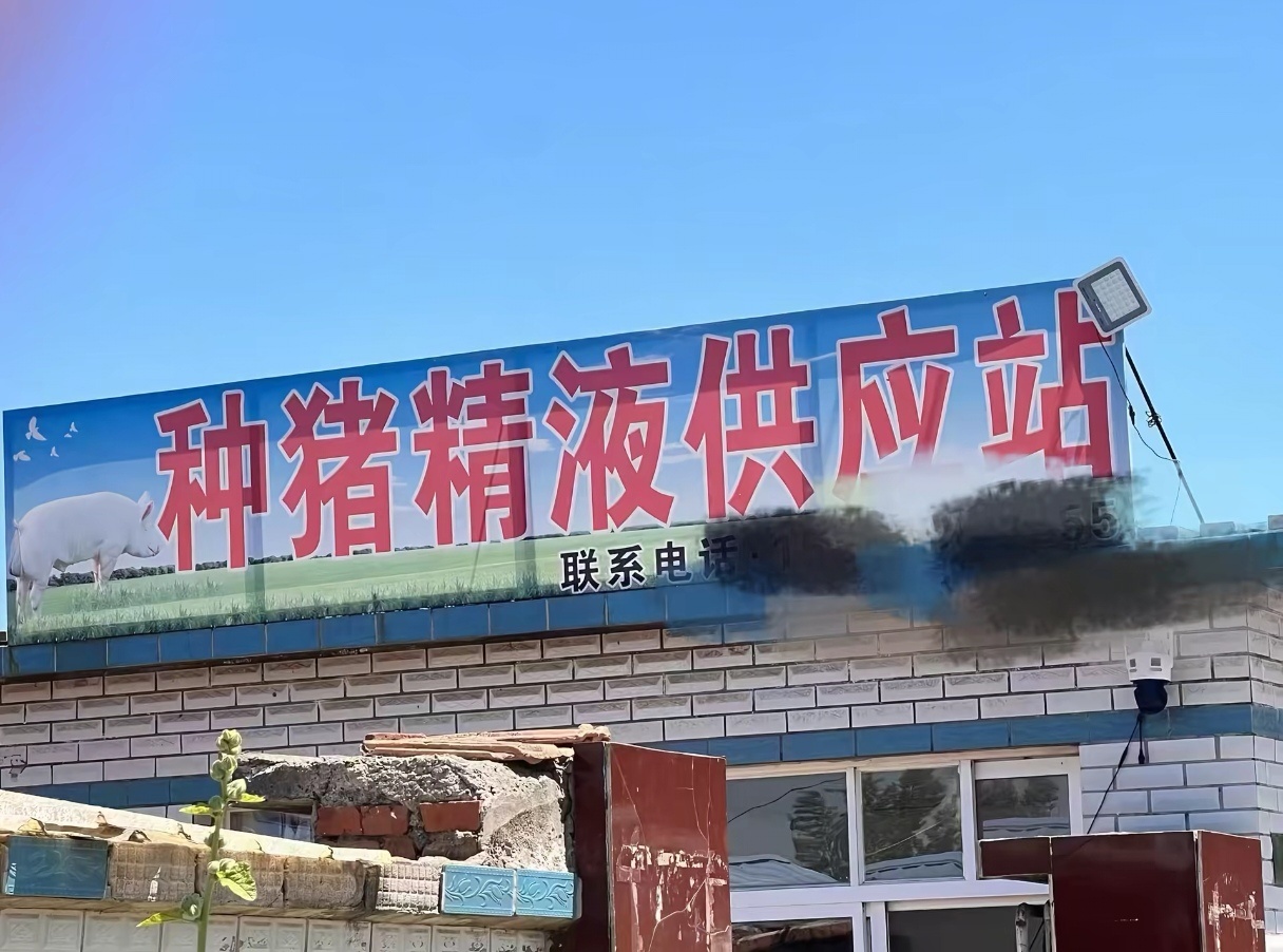 群里那几个同担自己进去行不