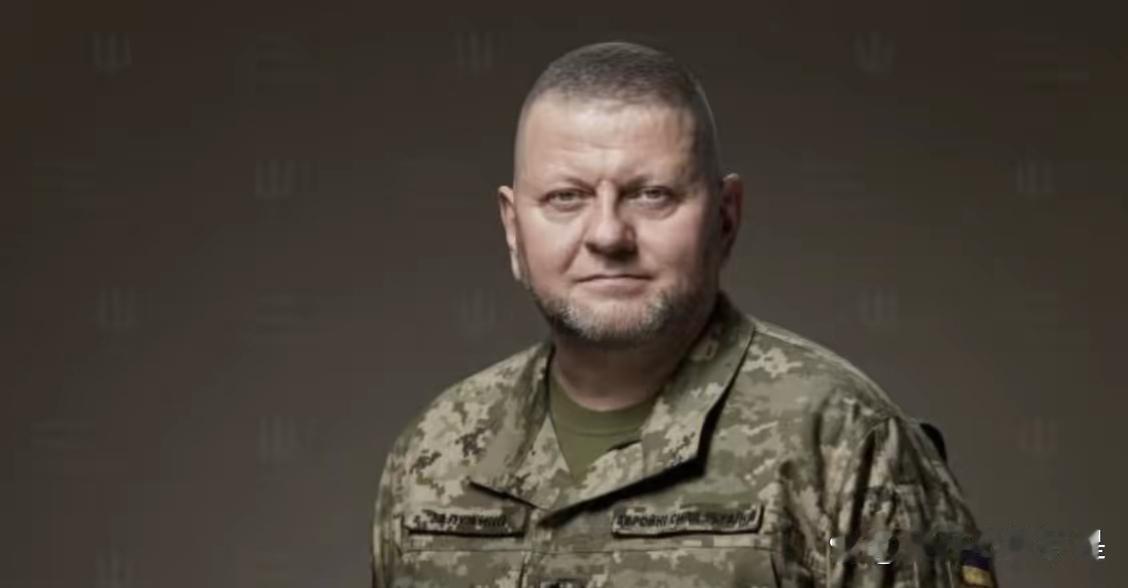 彻底杠上了

乌克兰武装部队总司令瑟尔斯基在接受乌克兰24频道采访时表示，乌克兰