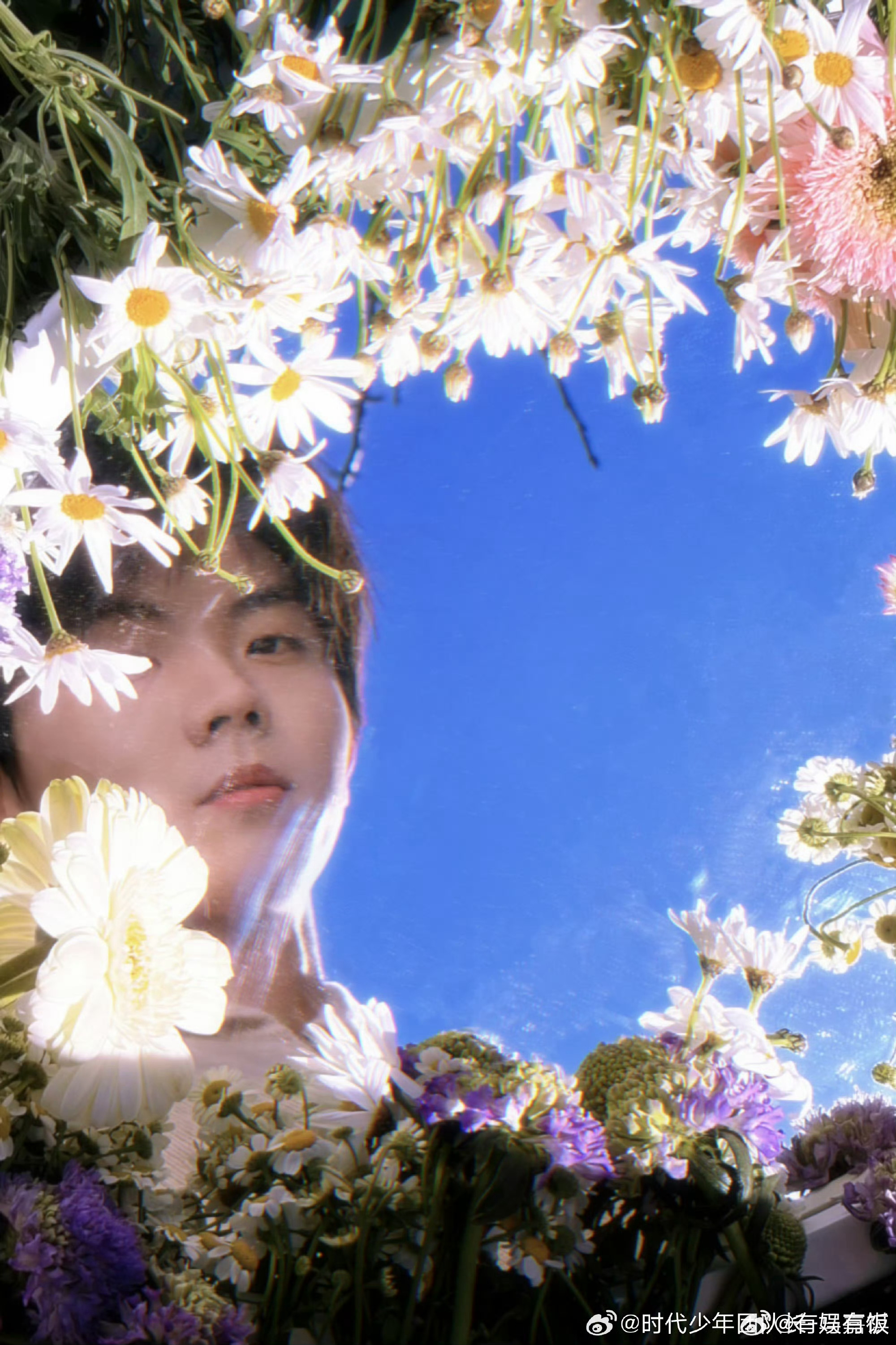 马嘉祺花朵写真花中的马嘉祺马嘉祺花朵写真，哇塞哇塞，