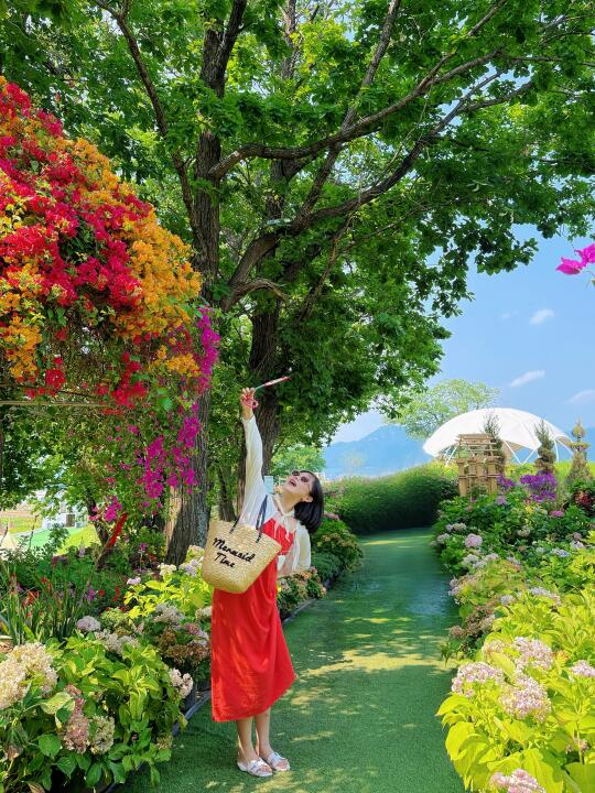 西海浪🌊多巴胺后花园赐予我能量