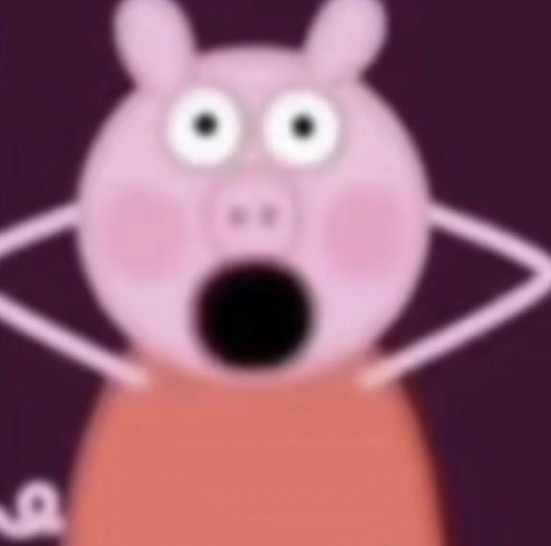 不是额滴神呐  看到线下整条街来看白鹿真的是人山人海  全部全部都是人！！！！白