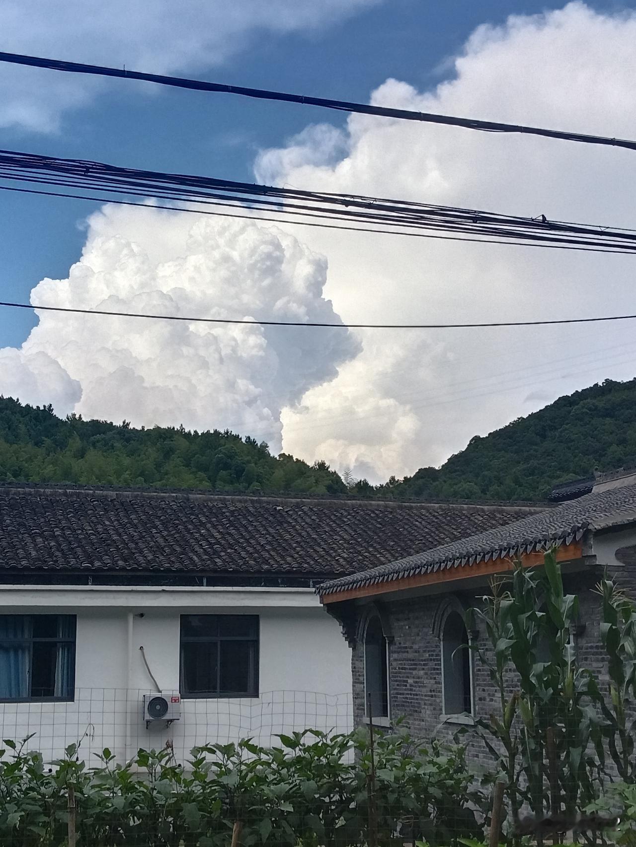 窦文涛在节目中提到，一位留学哈佛的华人学者撰文指出，中国古代提倡的孝，本质是为了