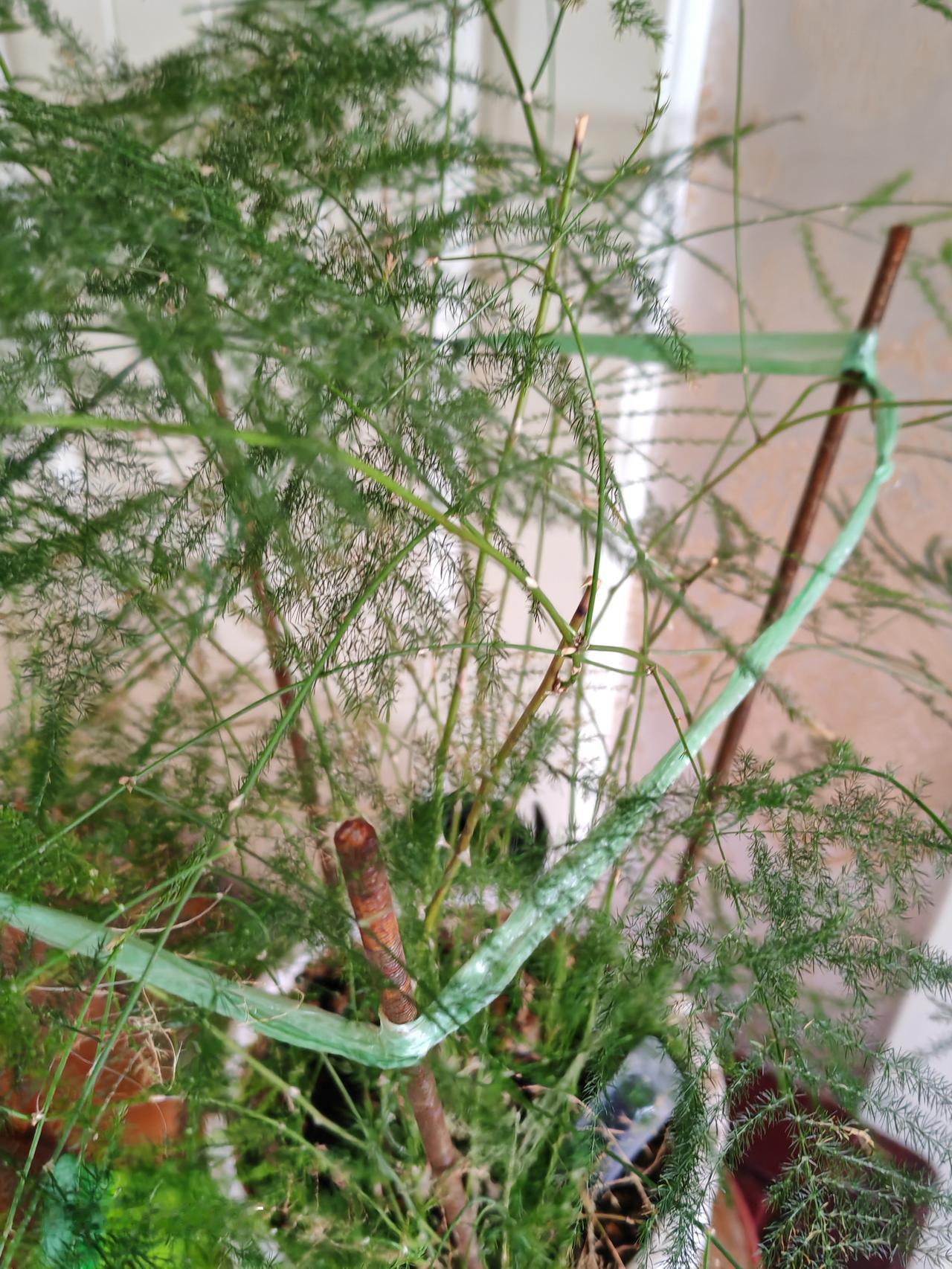 晒图笔记大赛