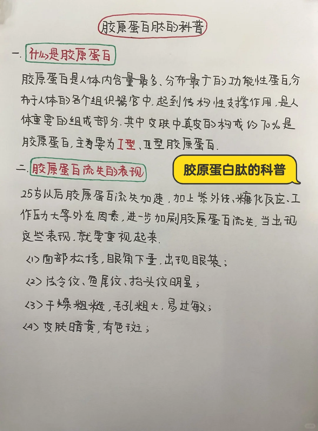 今日学习打卡——胶原蛋白肽的科普