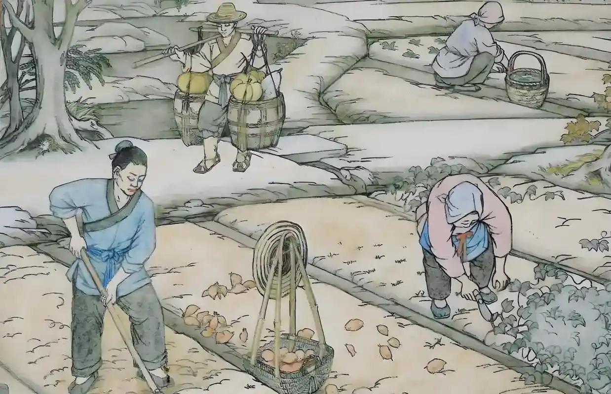 我们总以为古代农民是因为没受过教育，封建迷信才导致了他们对皇帝的盲目崇拜。
 
