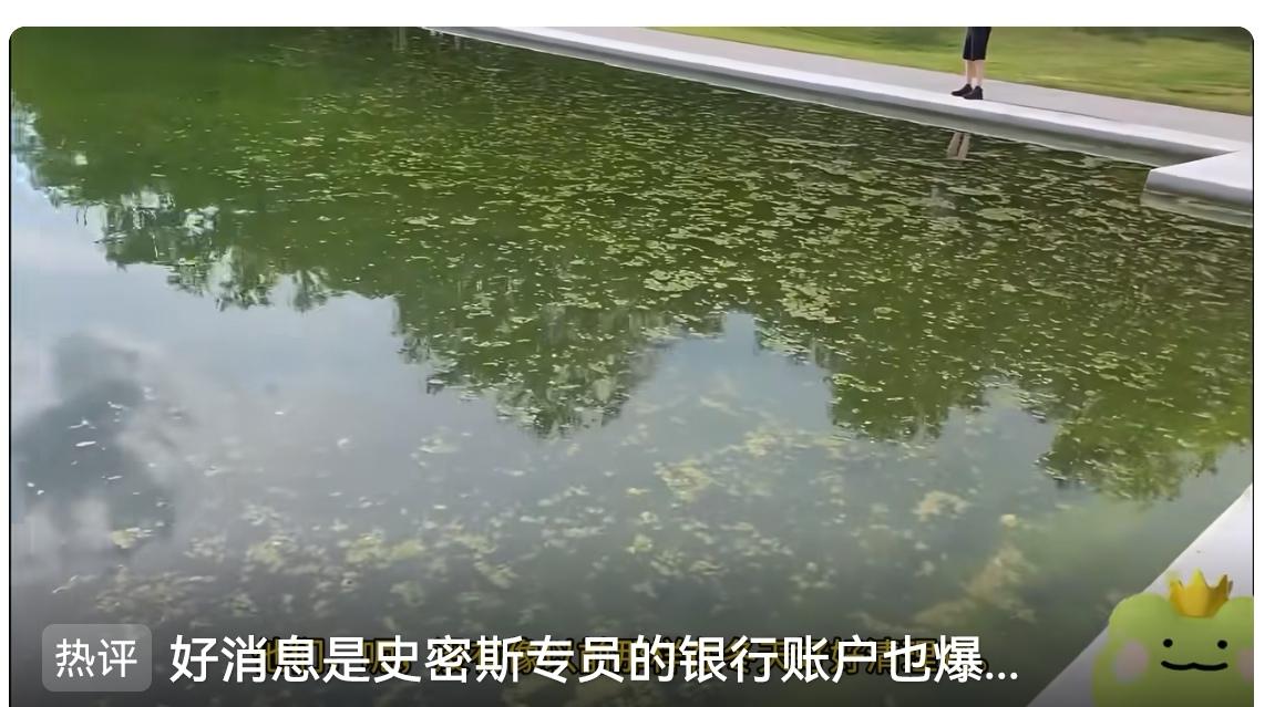 下图是美国博主GloryBee当地时间6月13日拍摄的林肯纪念堂倒影池，绿油油一