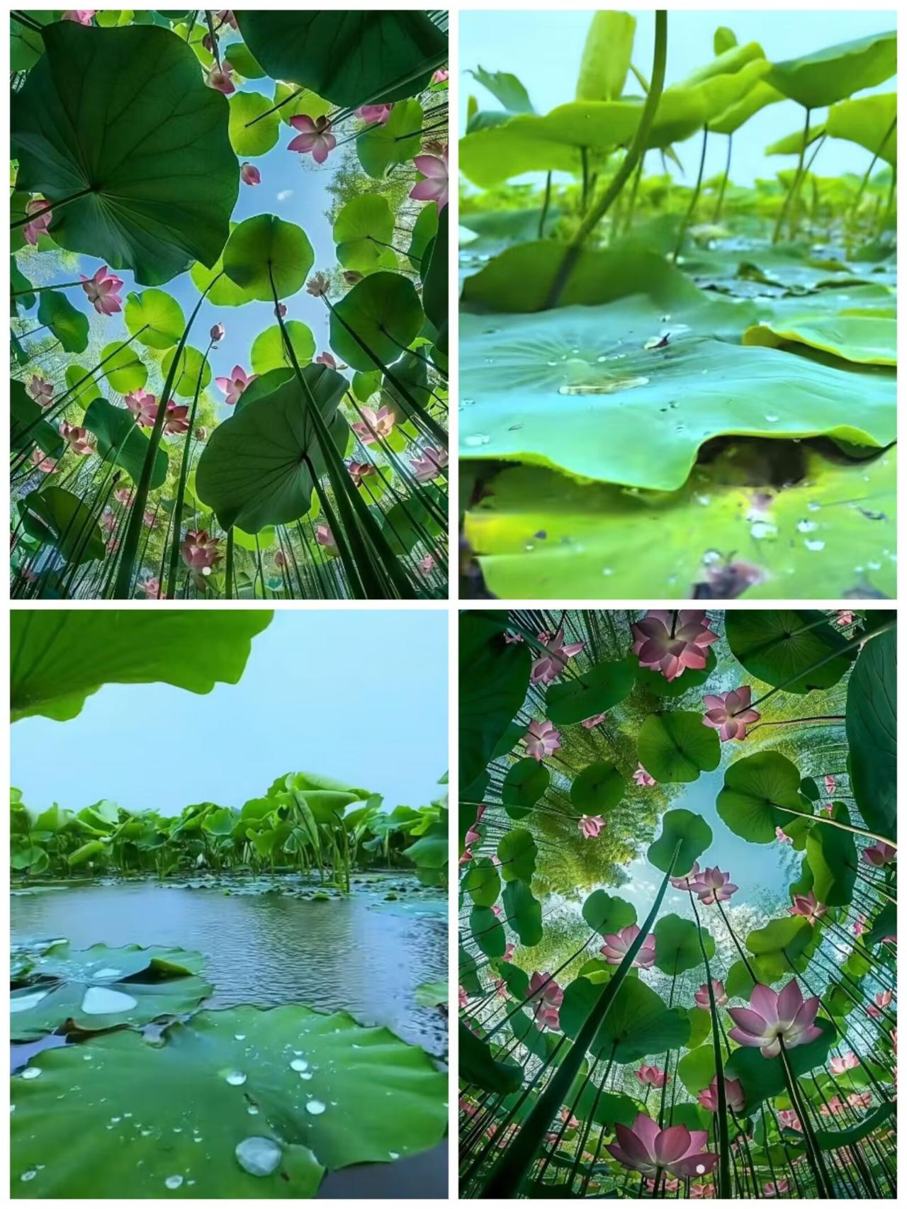 给自己一句话，你会说什么?
好胜人者，必无胜人之处，能胜人，自不居胜。
意思是说