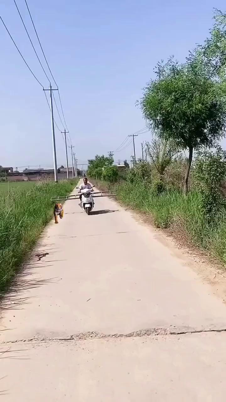 哈，哈哈哈哈。