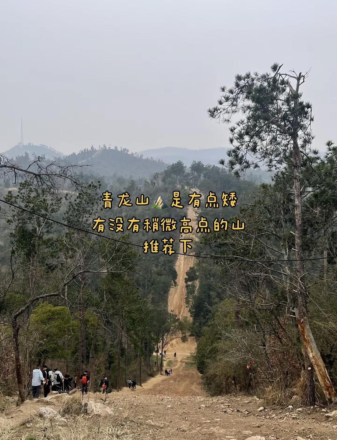 武汉有什么高一点的山？来点有强度的，这个山矮了点。周边推荐下～