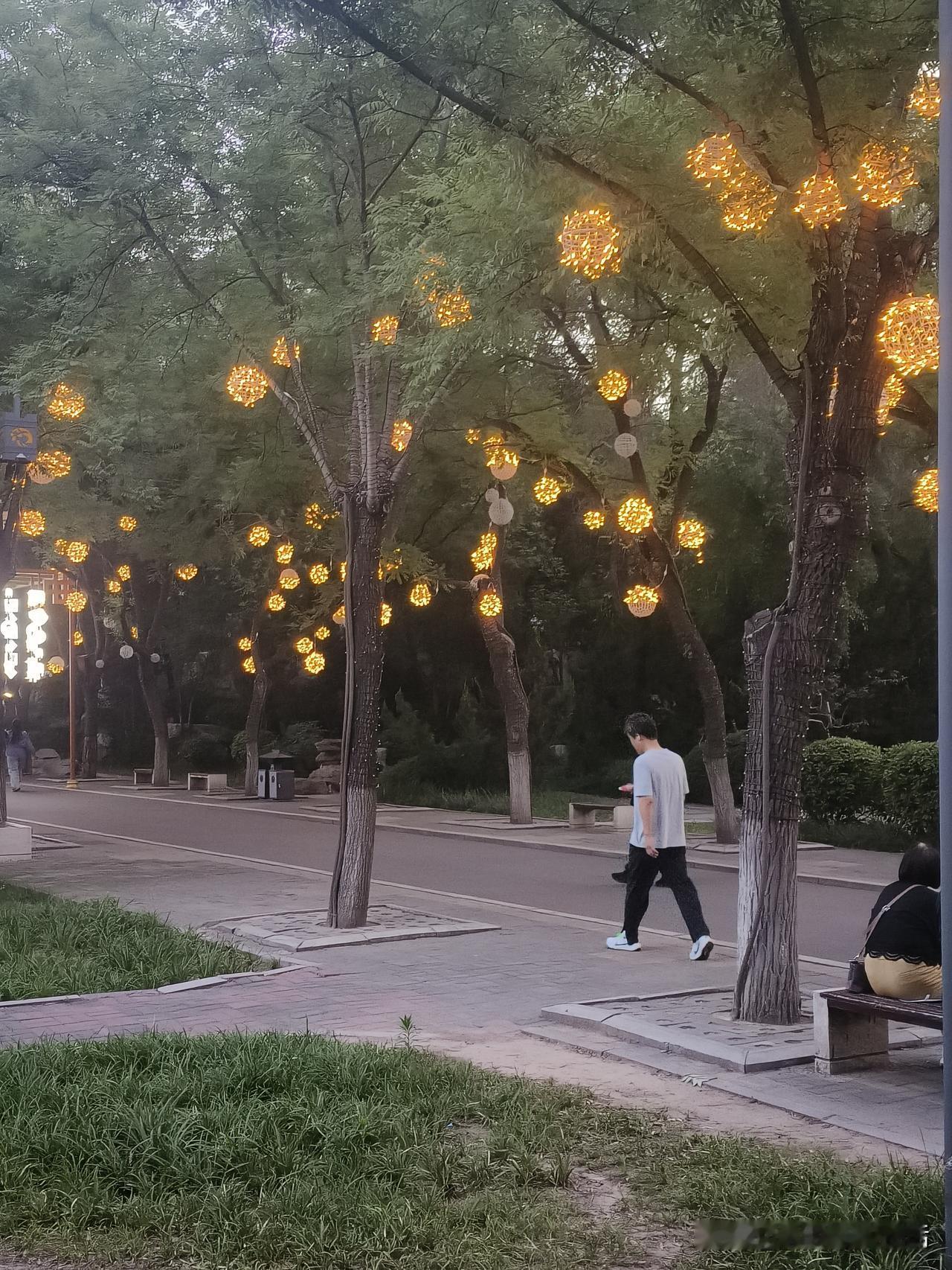 夜晚的公园，灯光璀璨，树影婆娑，漫步其中，心旷神怡。