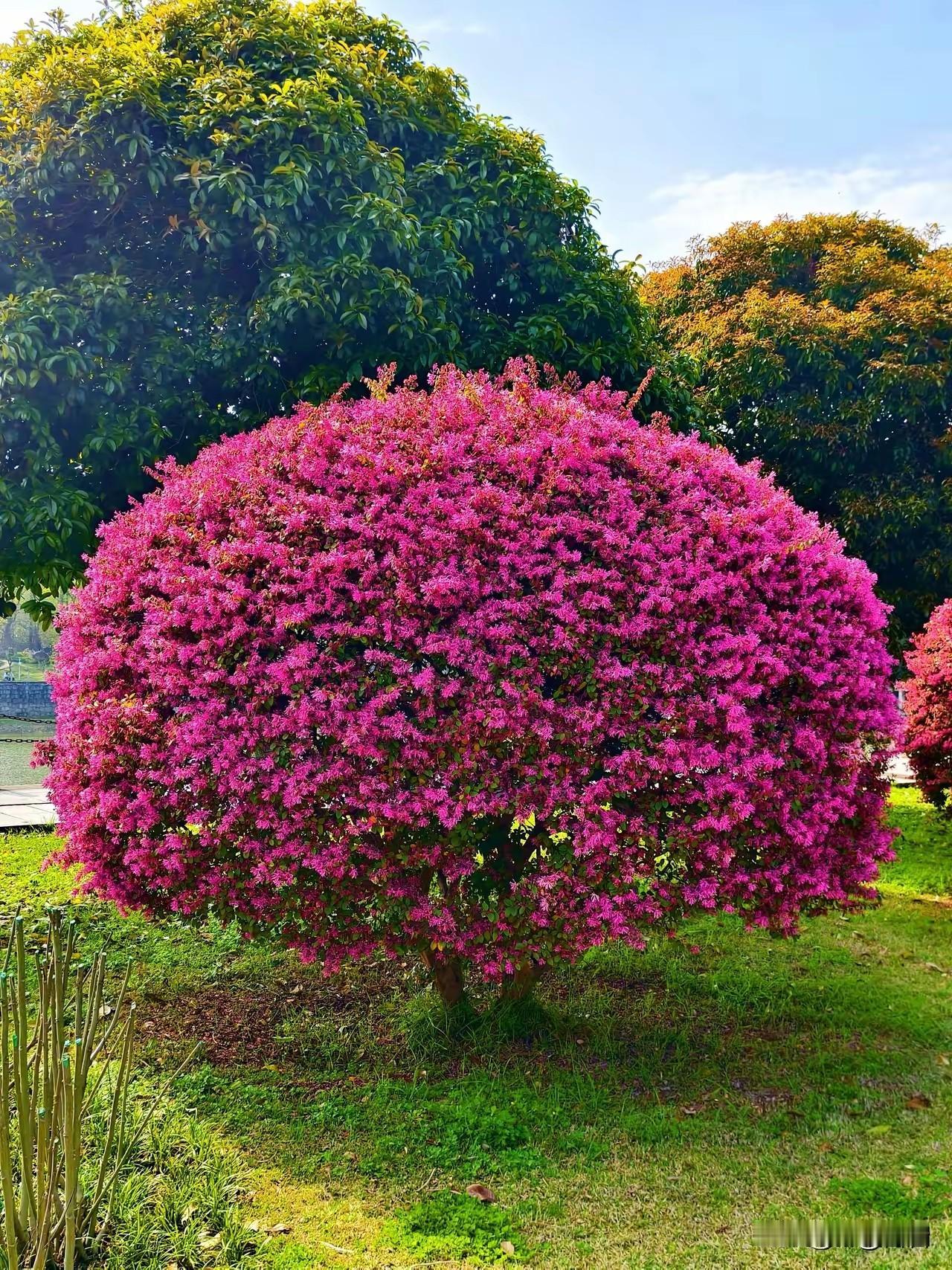 男人该具备的处事能力
 
一、遇事扛事，不逃避
 
- 出问题先解决，不抱怨、不