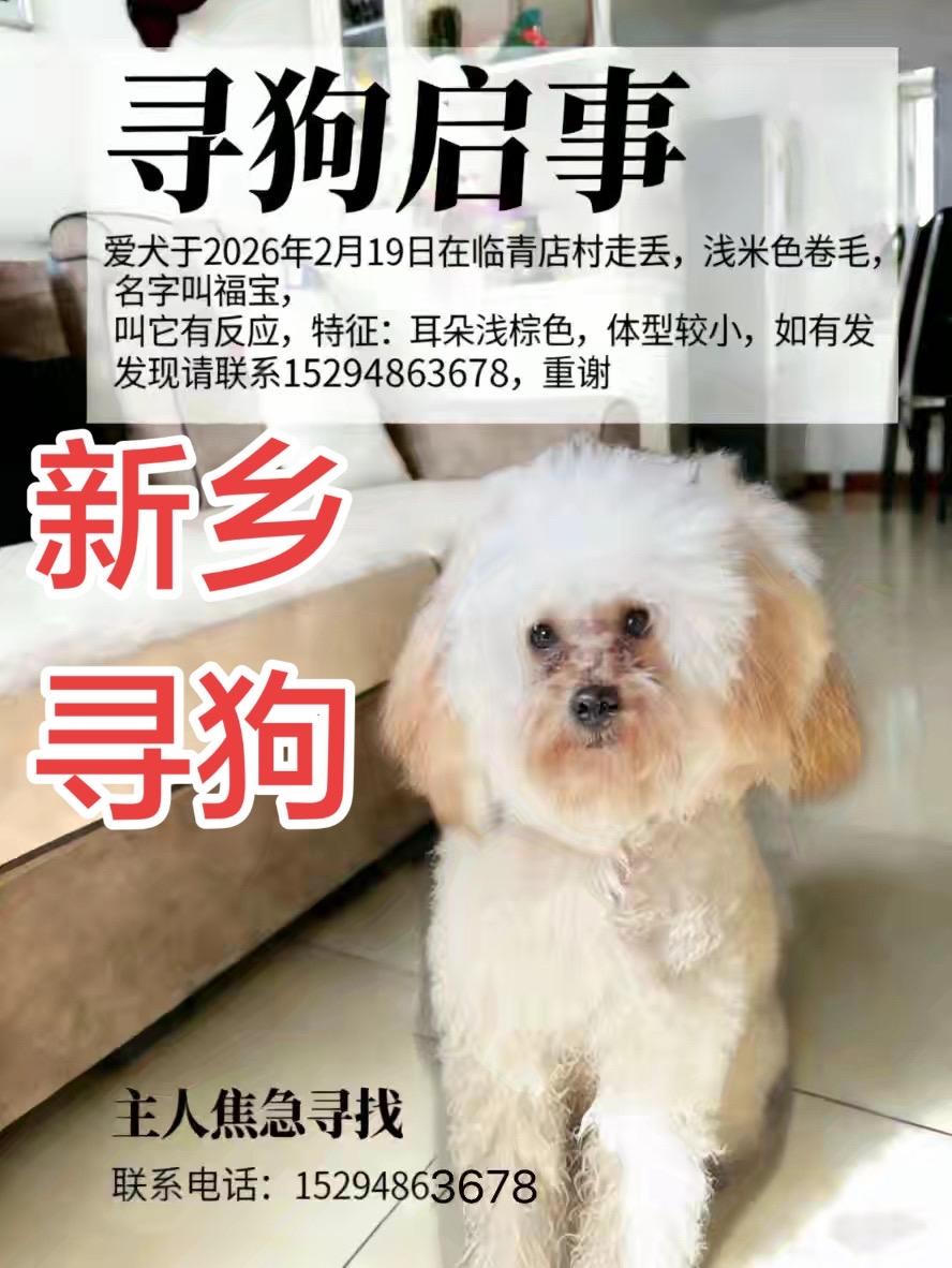 @帮我找找狗吧，谢谢大家