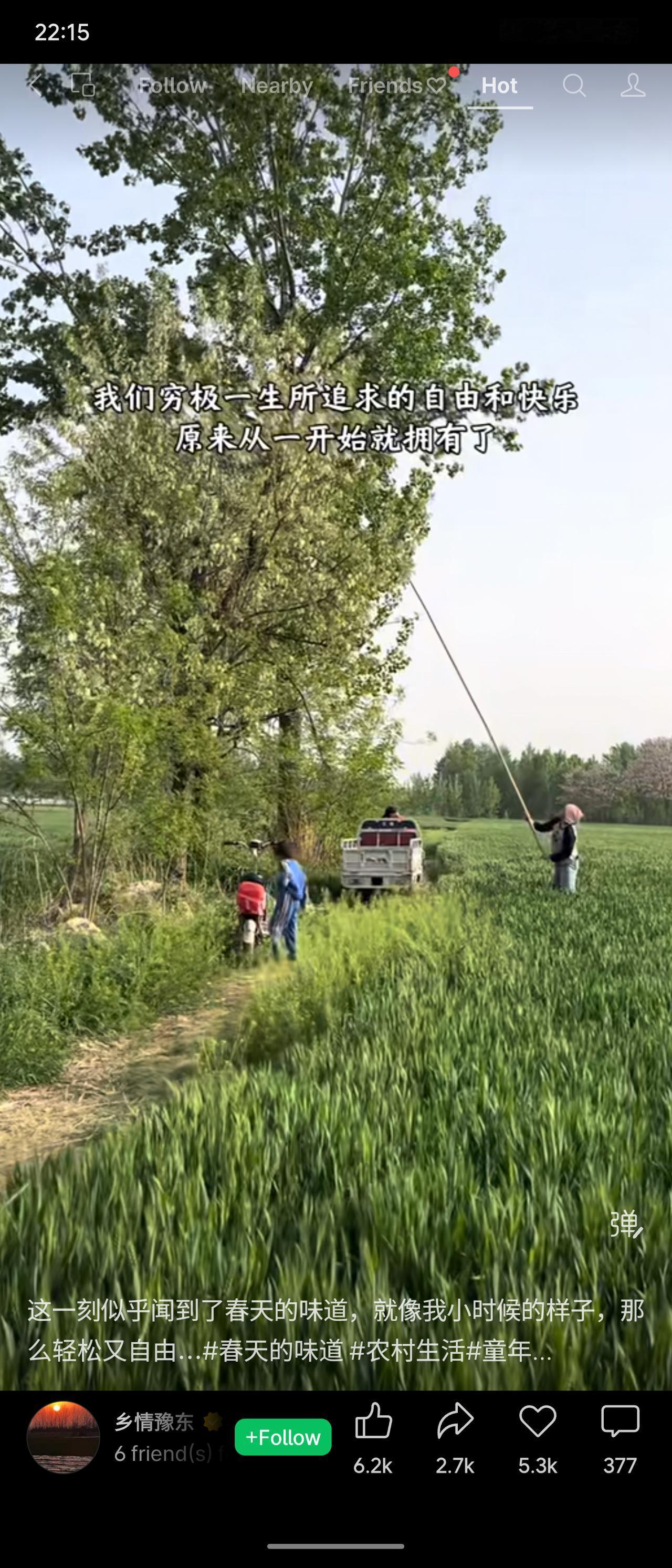 成年后拼命追逐的自由与快乐，其实早已藏在童年的春天里。那时没有重担，只有田埂上的