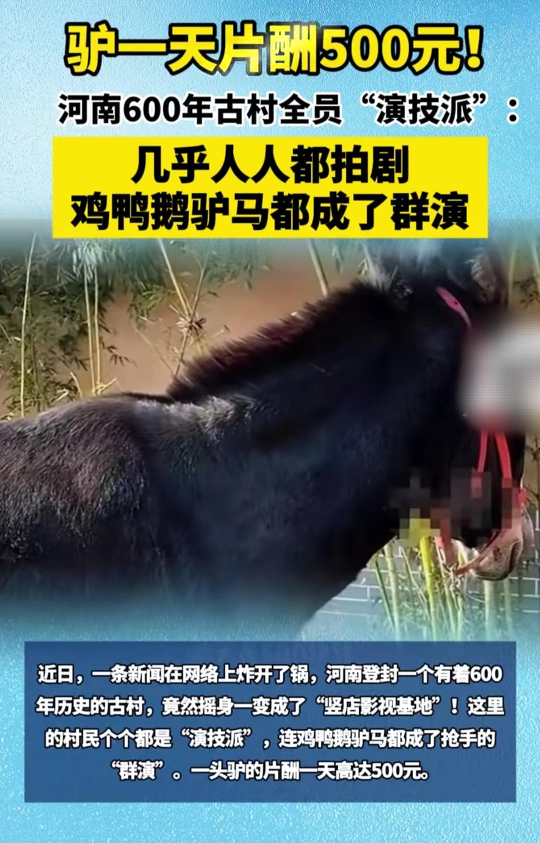 河南这600年古村也太会整活了——现在谁家驴一天能挣500块？这村的驴能！连鸡鸭