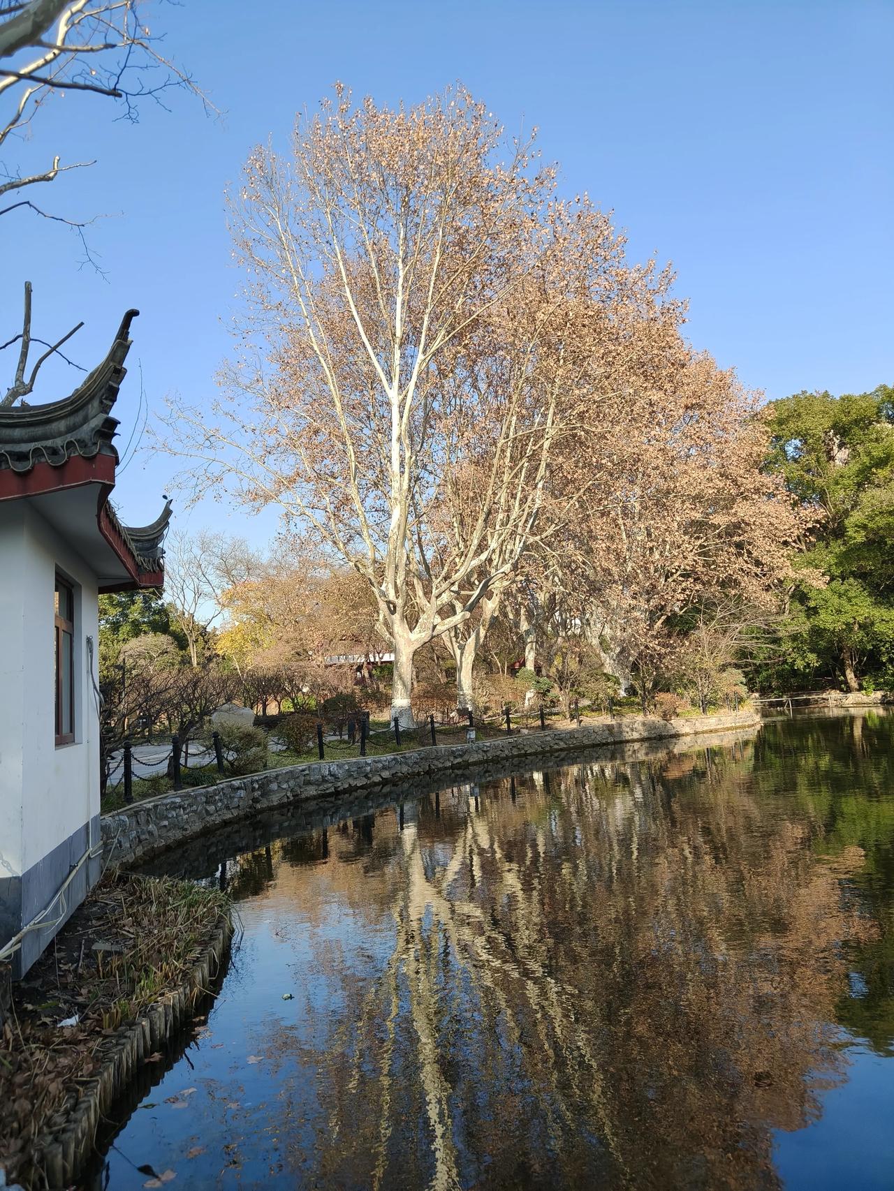 如何看待重庆合川“按年猪”成爆点 重庆合川“按年猪”成爆点，这事儿挺值得琢磨。1